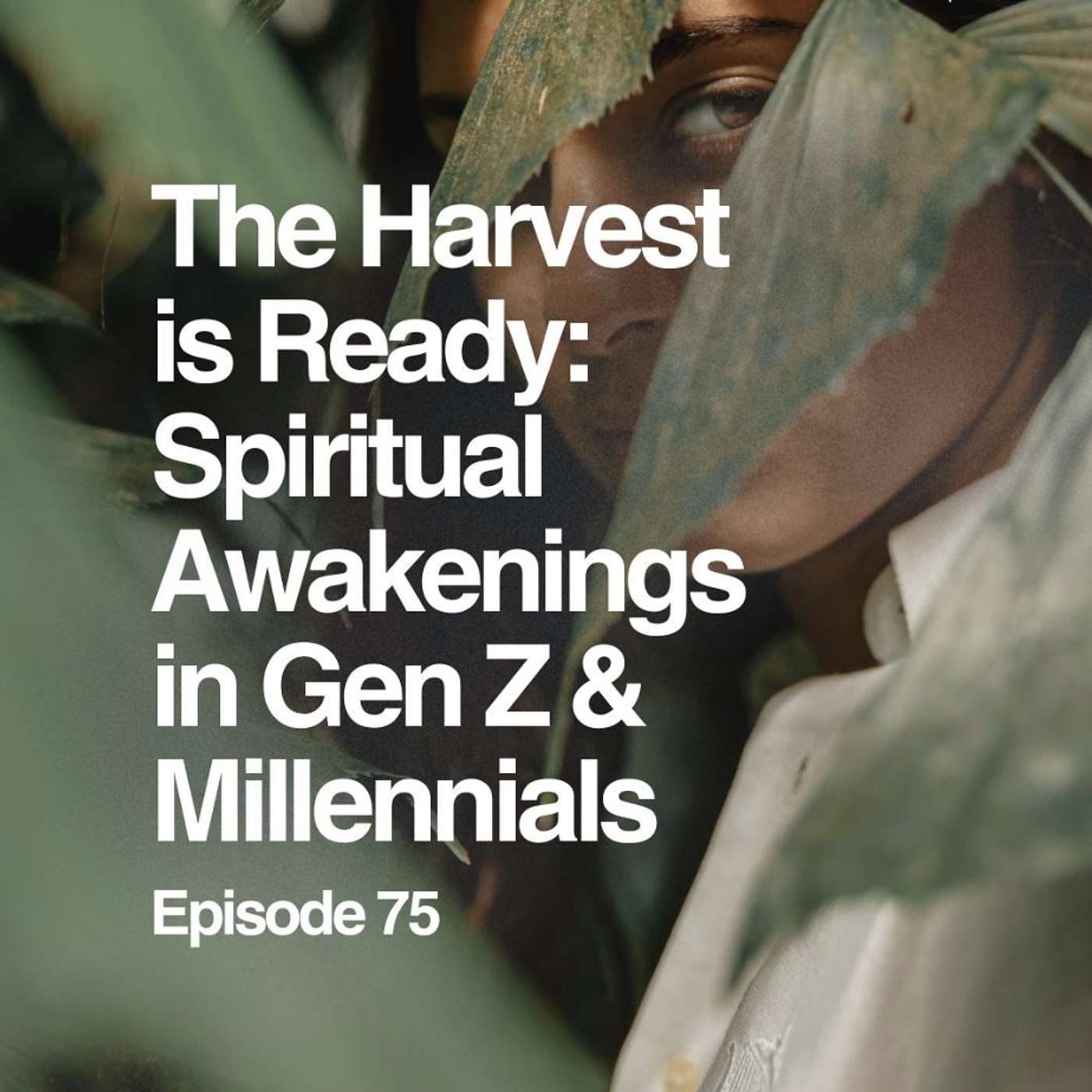 The Harvest is Ready: Spiritual Awakenings in Gen Z and Millenials