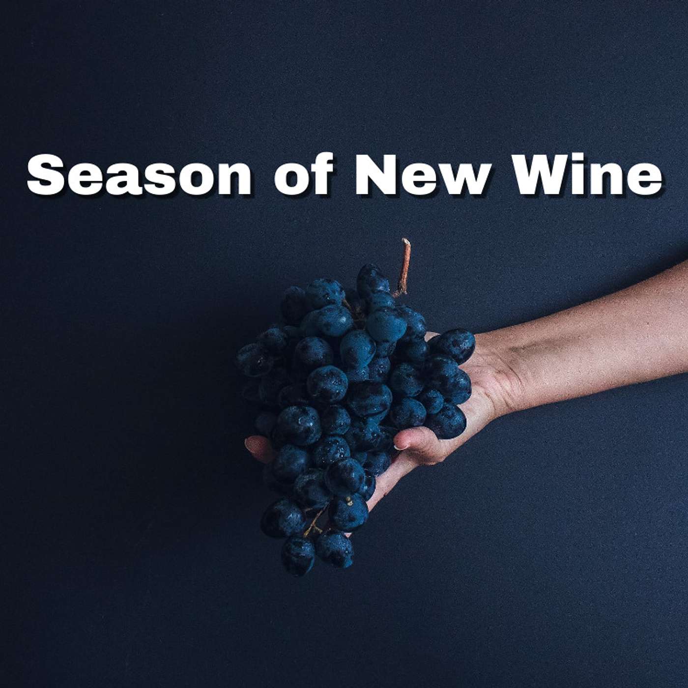 New Year Message: "A Season of New Wine" episode artwork