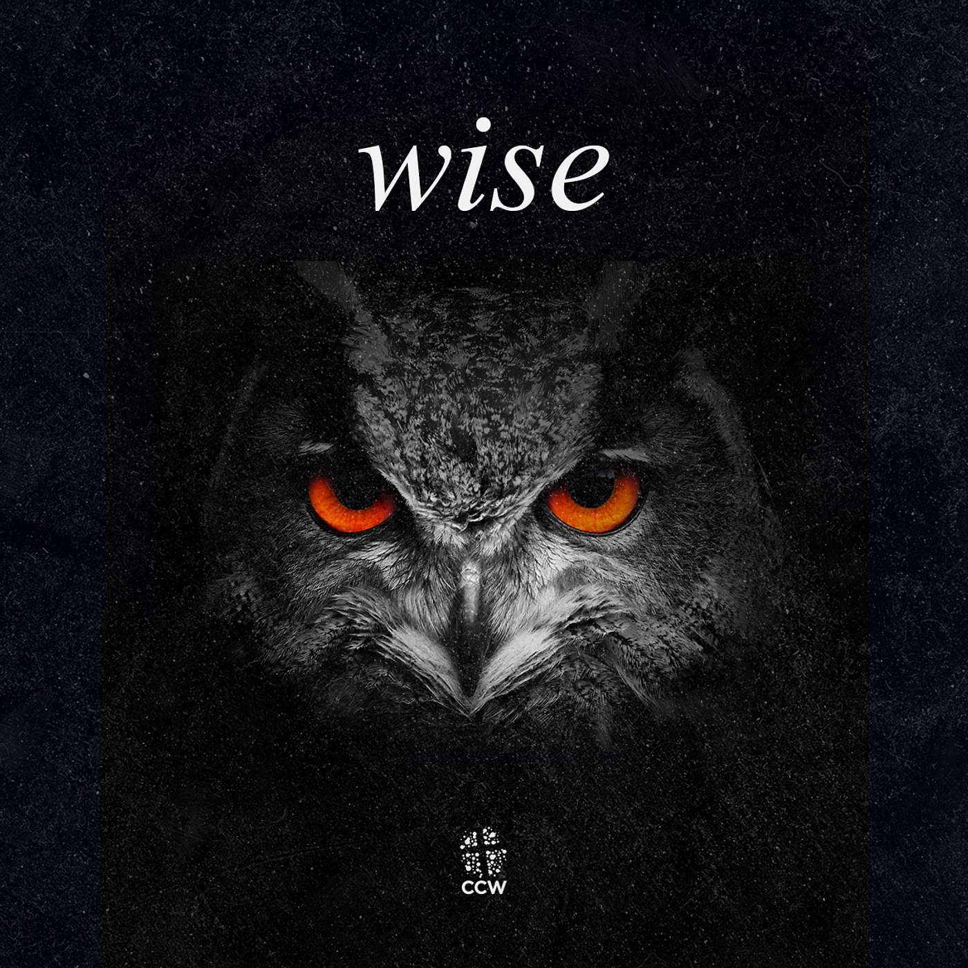 Wise #7 episode artwork