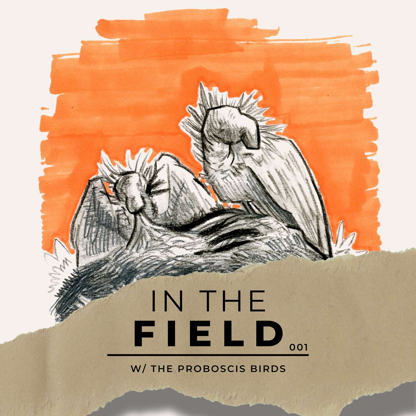 Ballyraven Cryptid Wildlife Protection Agency