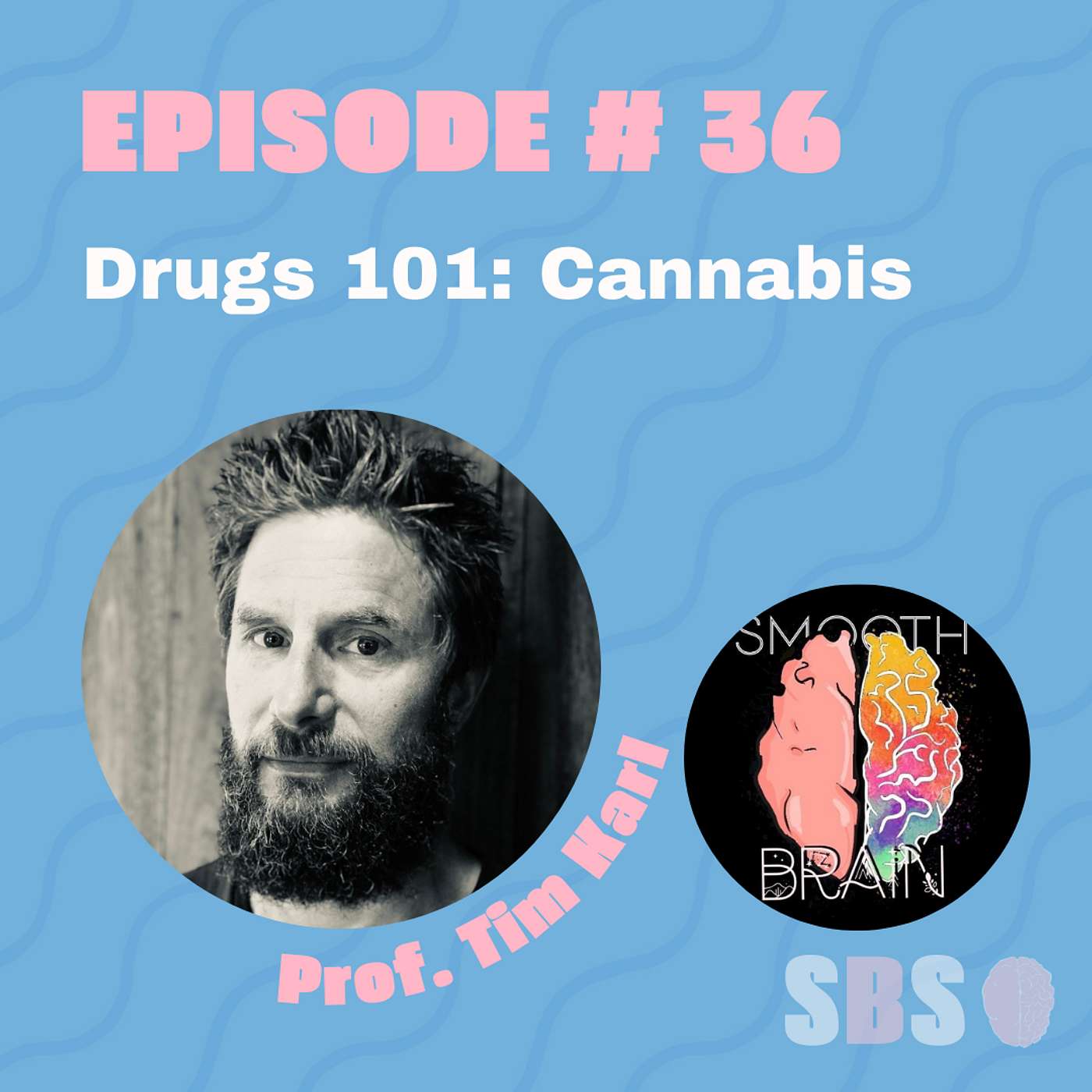 #36. Drugs 101: Cannabis - Professor. Tim Karl