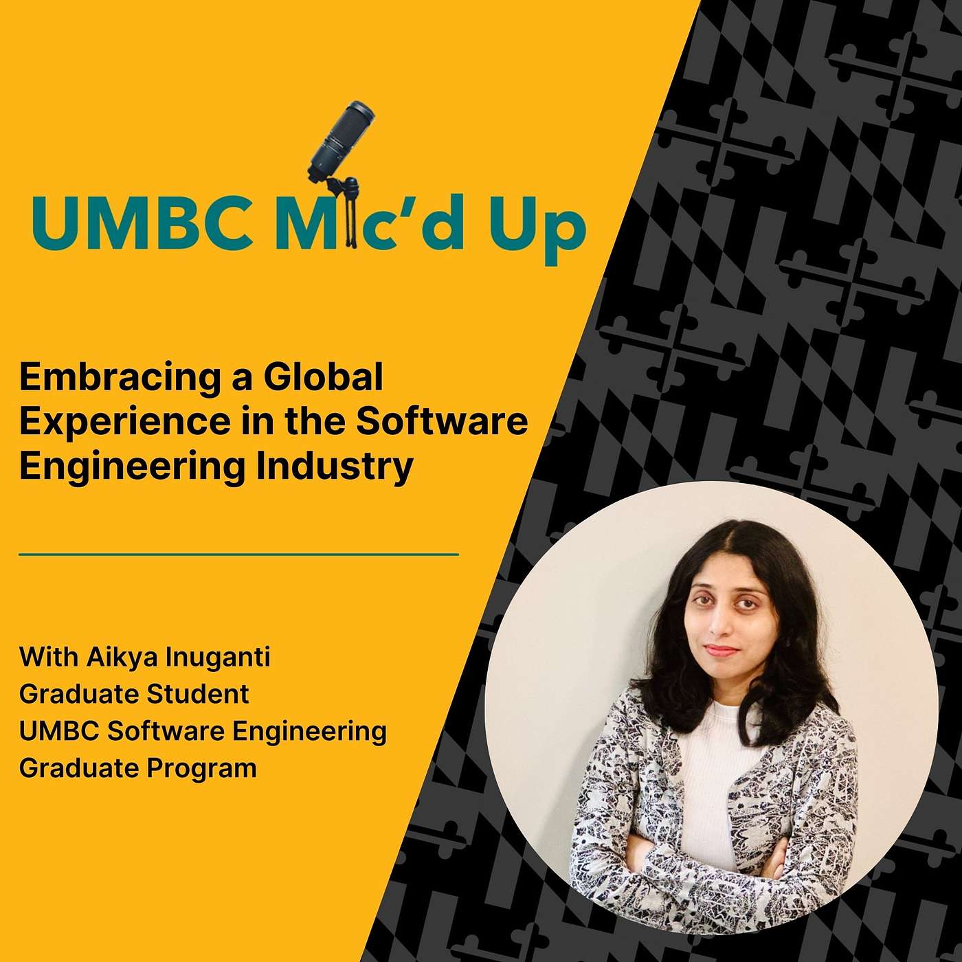 Embracing a Global Experience in the Software Engineering Industry episode artwork