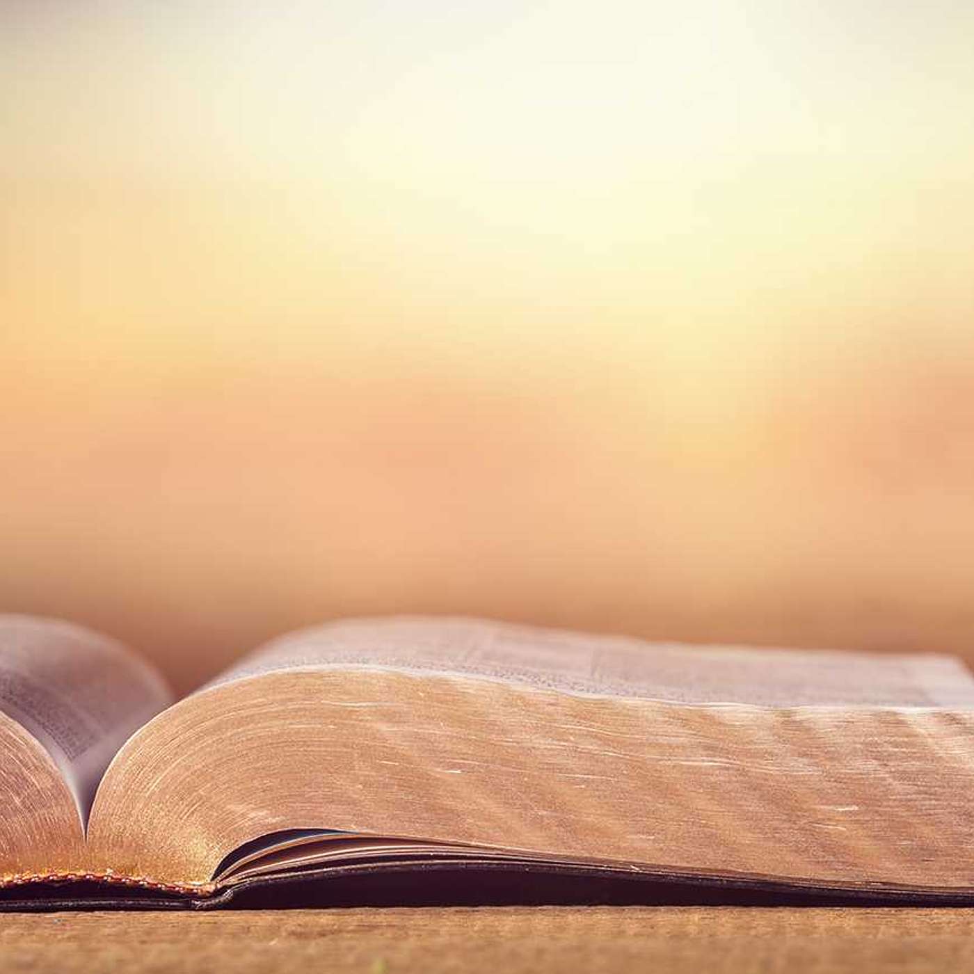 The Bible Project Daily Podcast