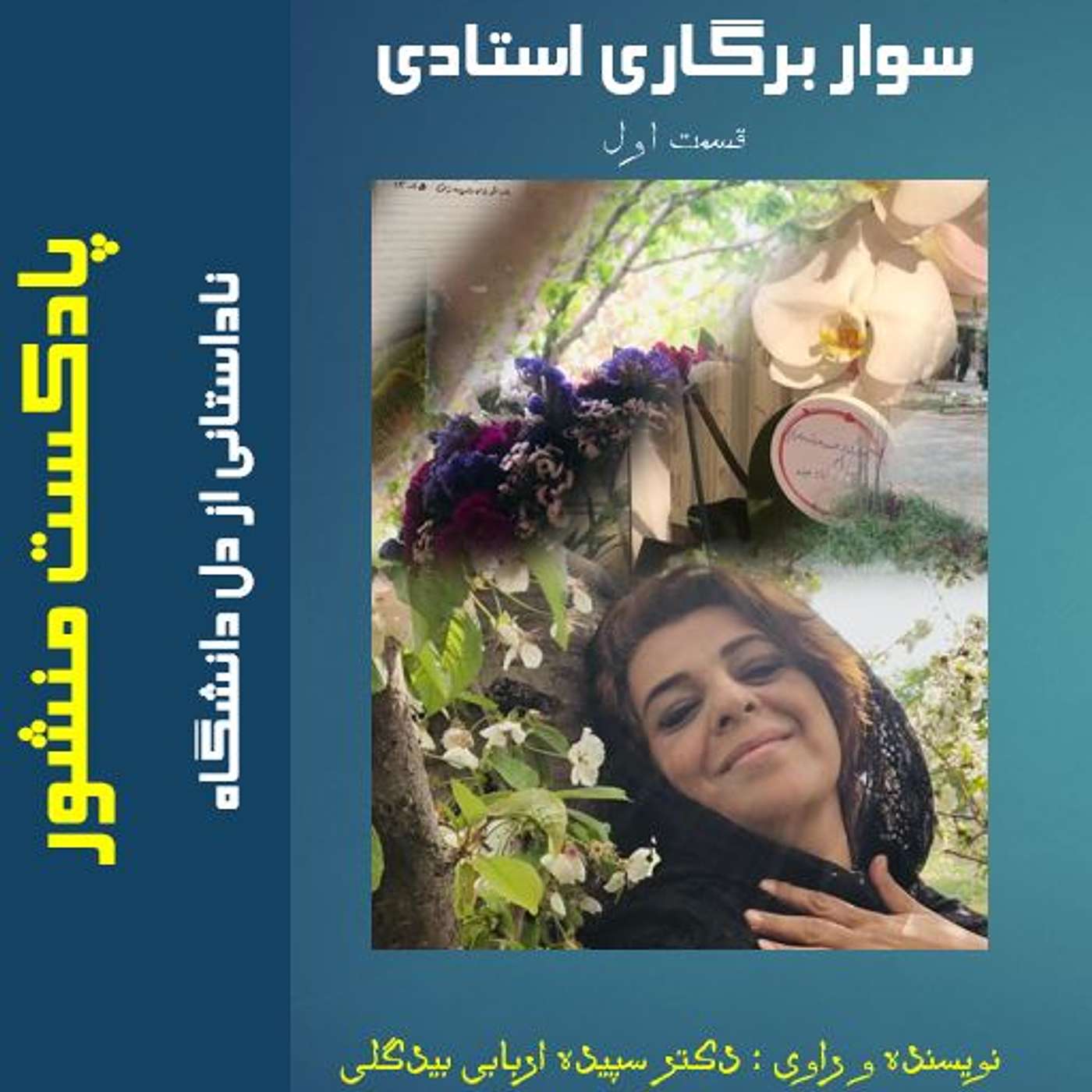 سوار بر گاری استادی :قسمت اول episode artwork