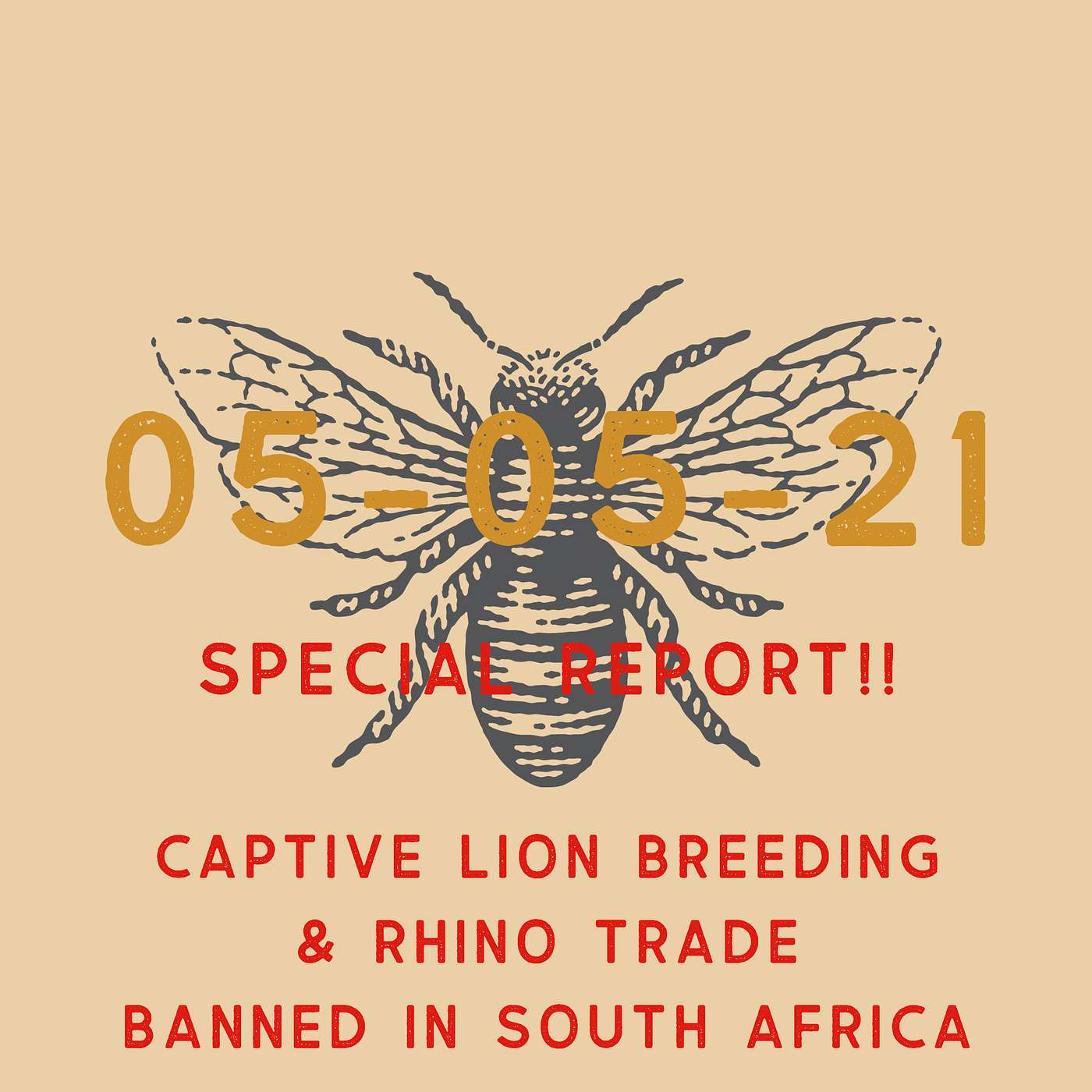The Art Of Conservation