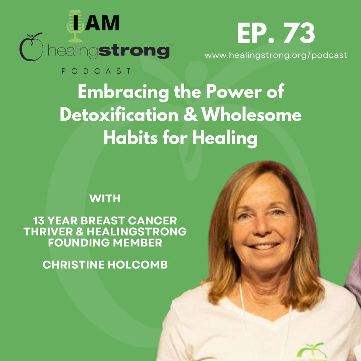 73: Embracing the Power of Detoxification & Wholesome Habits for Healing | Christine Holcomb