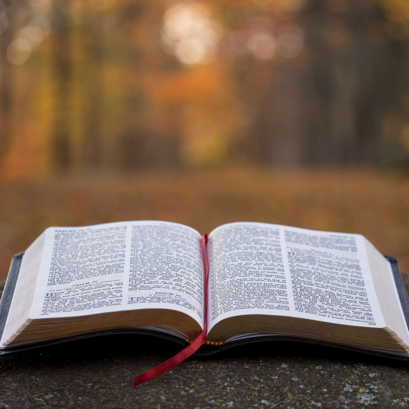 The Living Word Podcast