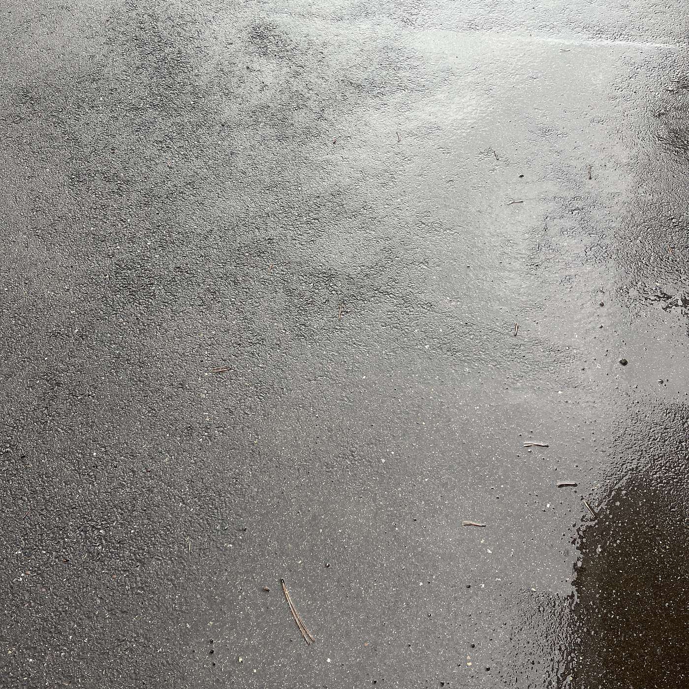 The Wishing Rain episode artwork