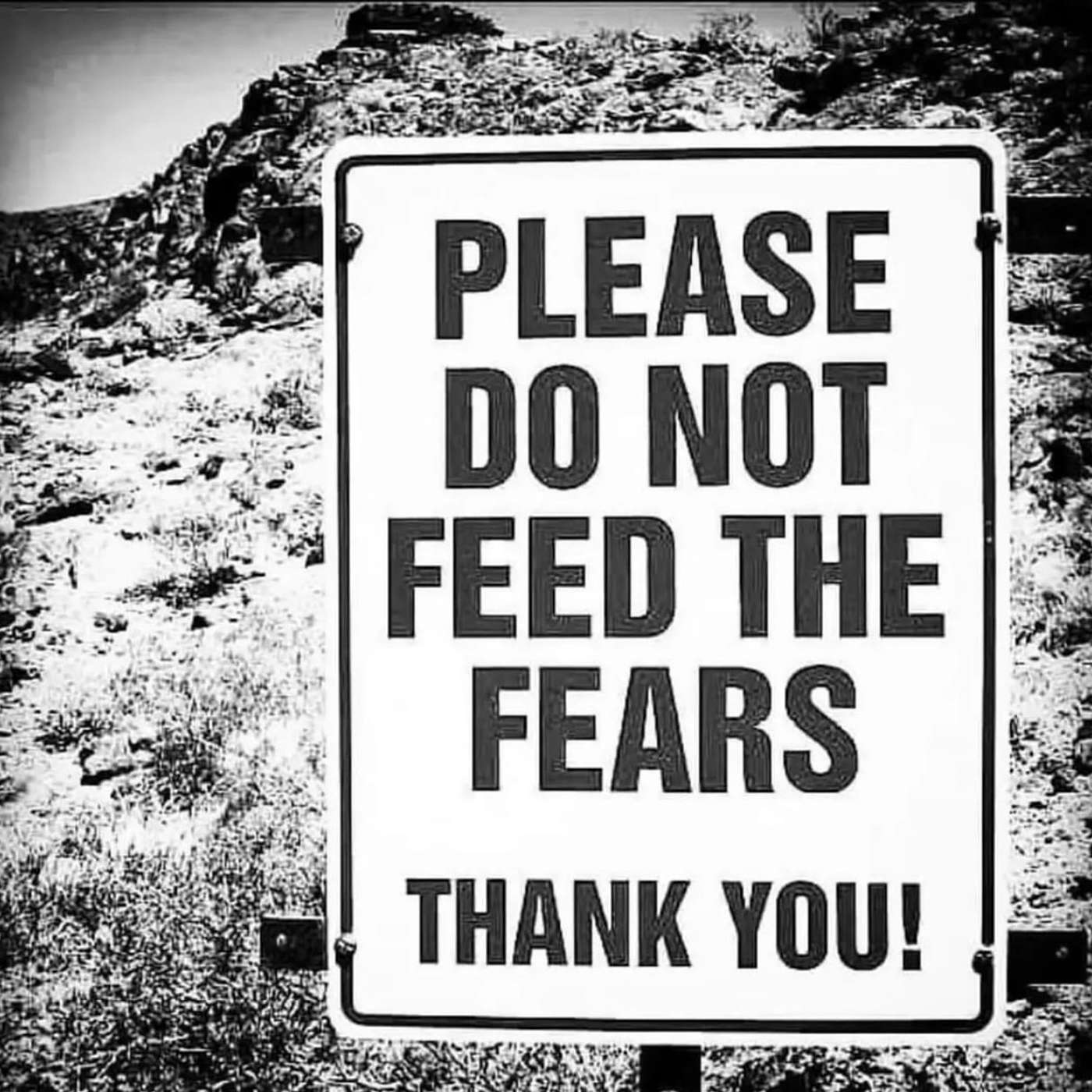 Try this tool to make decisions from your Higher Self! & A channeled reminder from Source