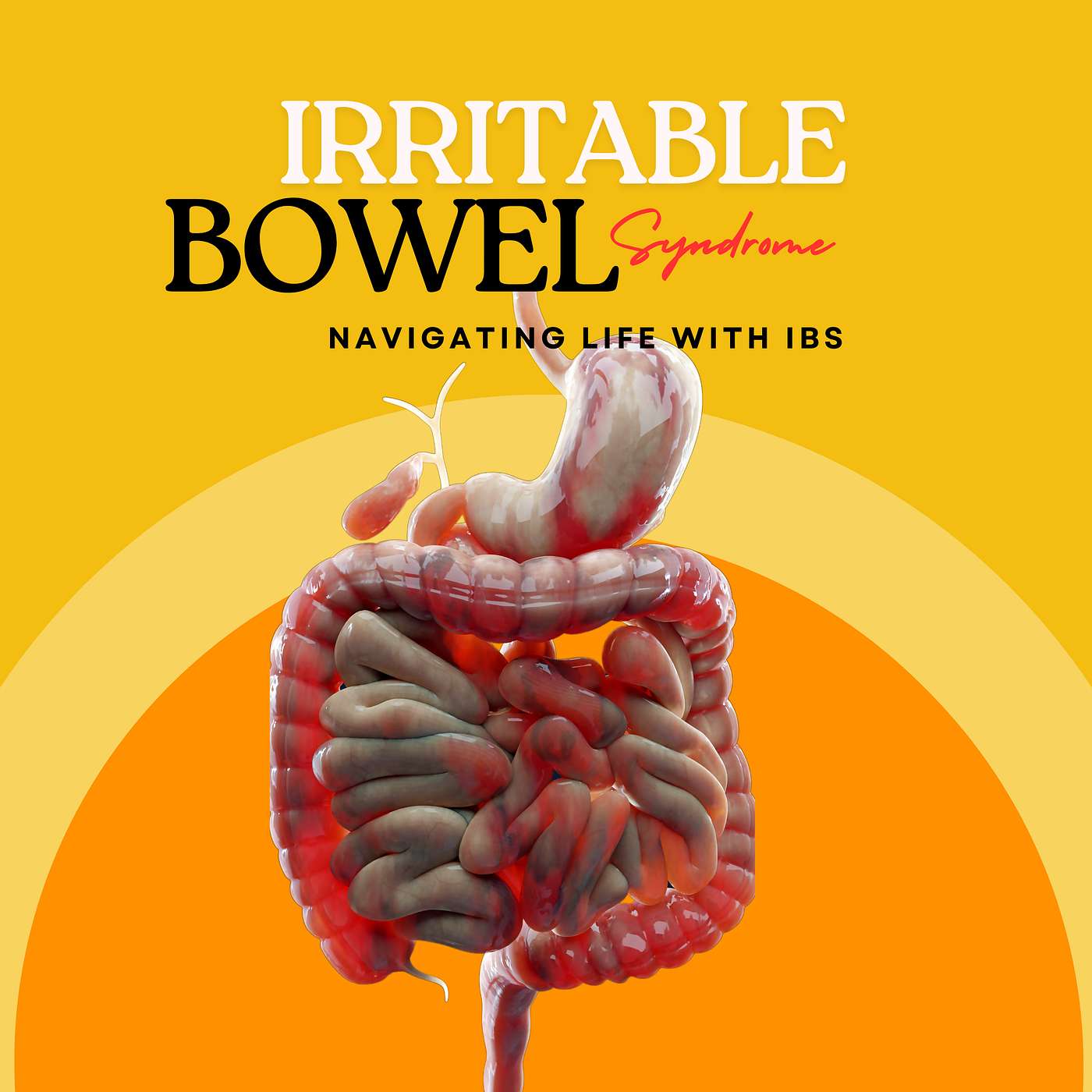 Taming the Turmoil: Managing IBS and Digestive Health episode artwork