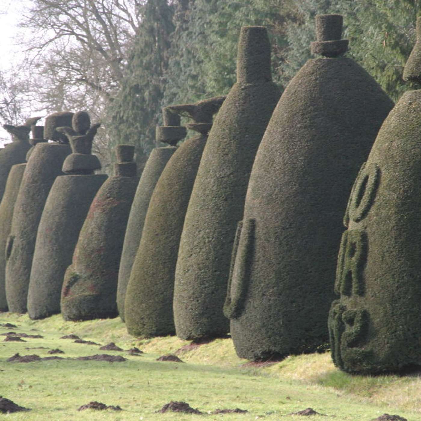 The Mystery of Yew Tree Avenue with Dr. Patrick Candler
