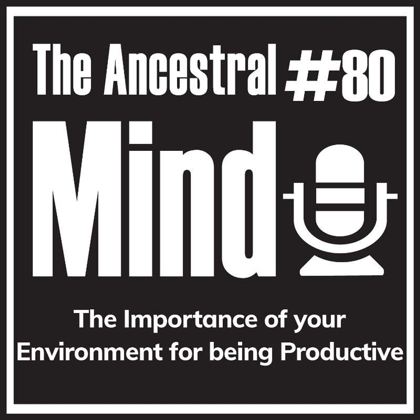 #80 – The Importance of your Environment for being Productive