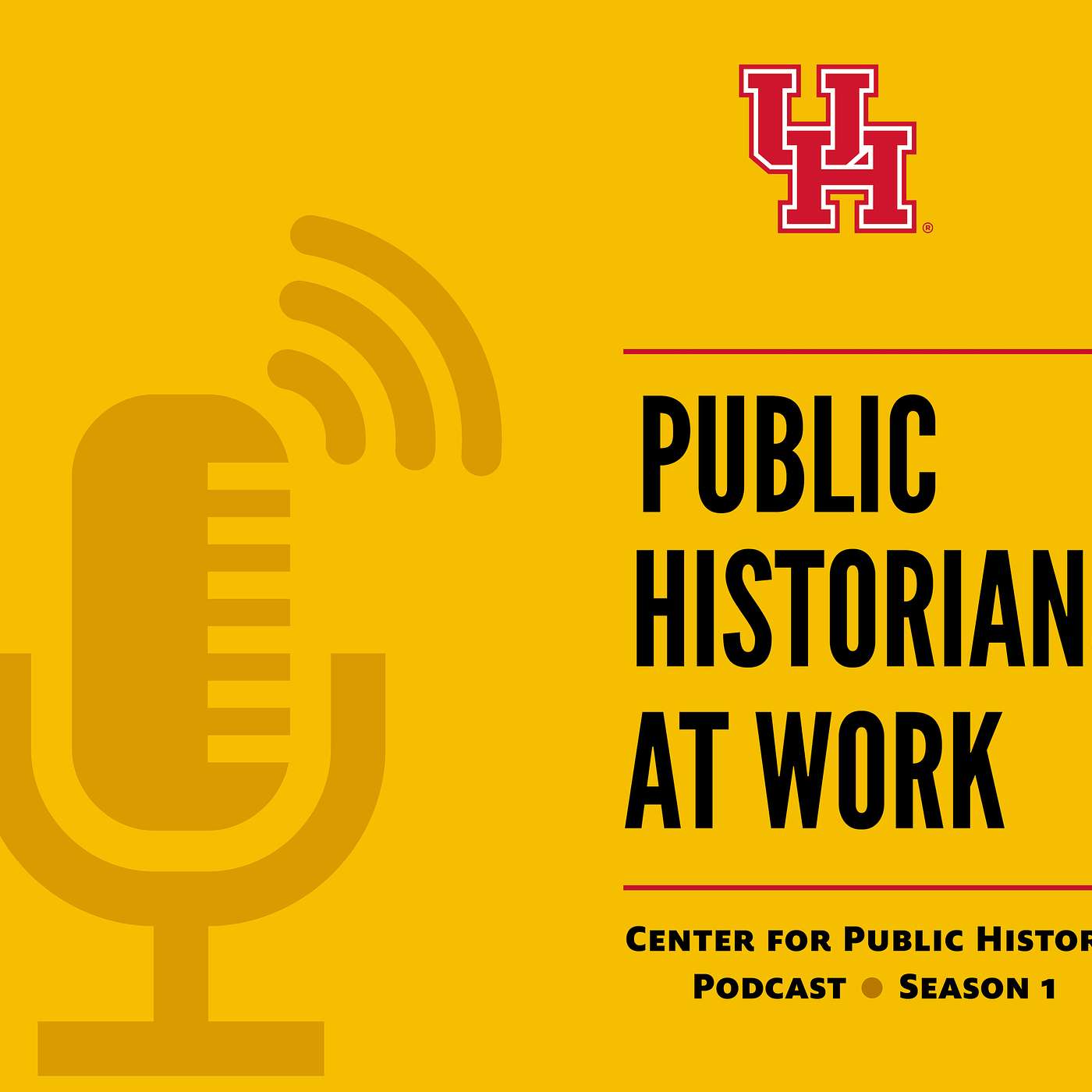 Public Historians at Work