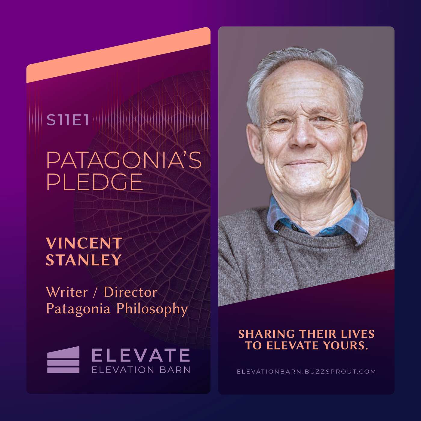 #119. Patagonia's Pledge | Vincent Stanley episode artwork