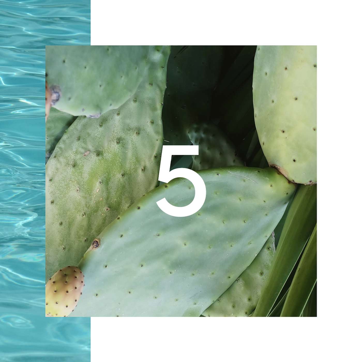 5