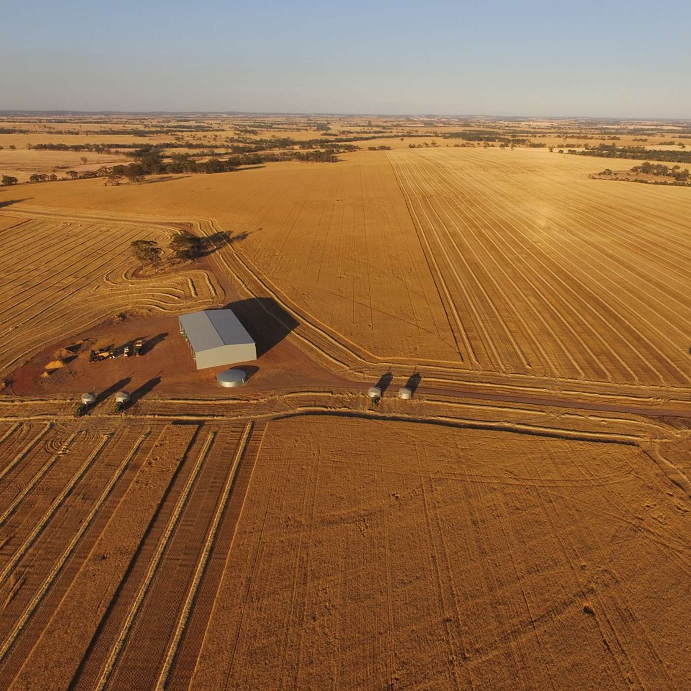 Harvest Residue Topper (HRT) and  Summer Weeds