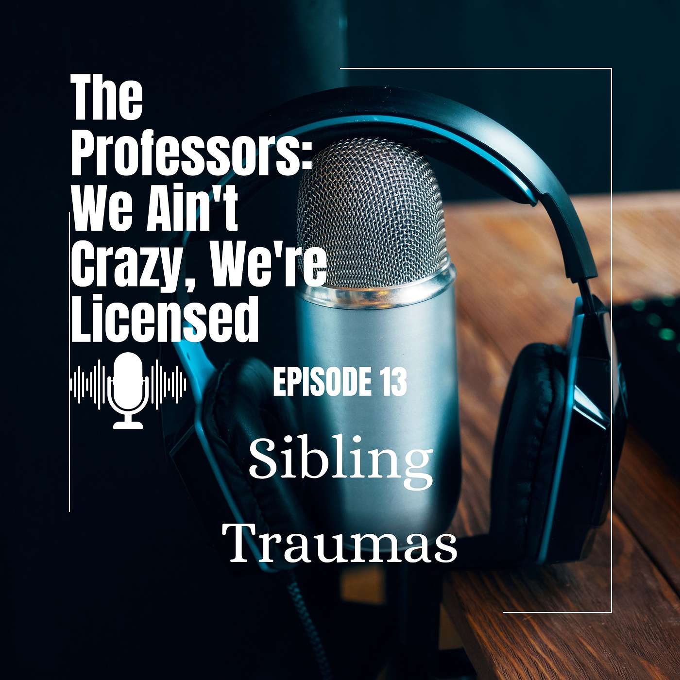 The Professors: We Ain\'t Crazy, We\'re Licensed