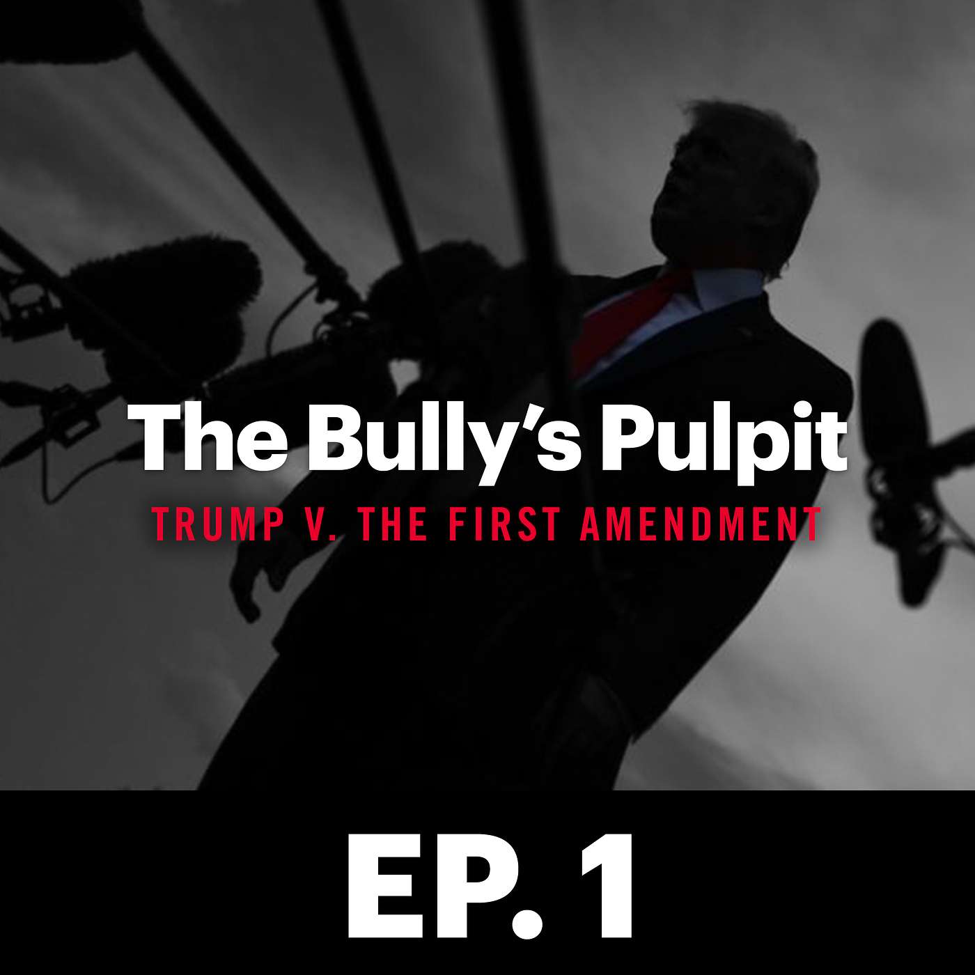 The Bully\'s Pulpit: Trump v. The First Amendment