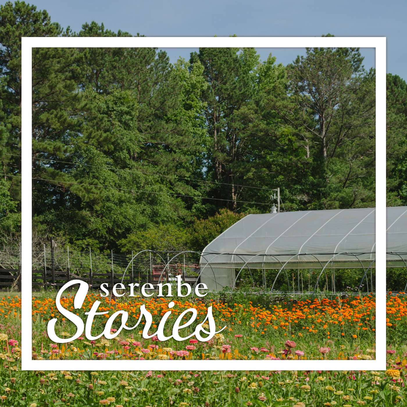 Serenbe Stories