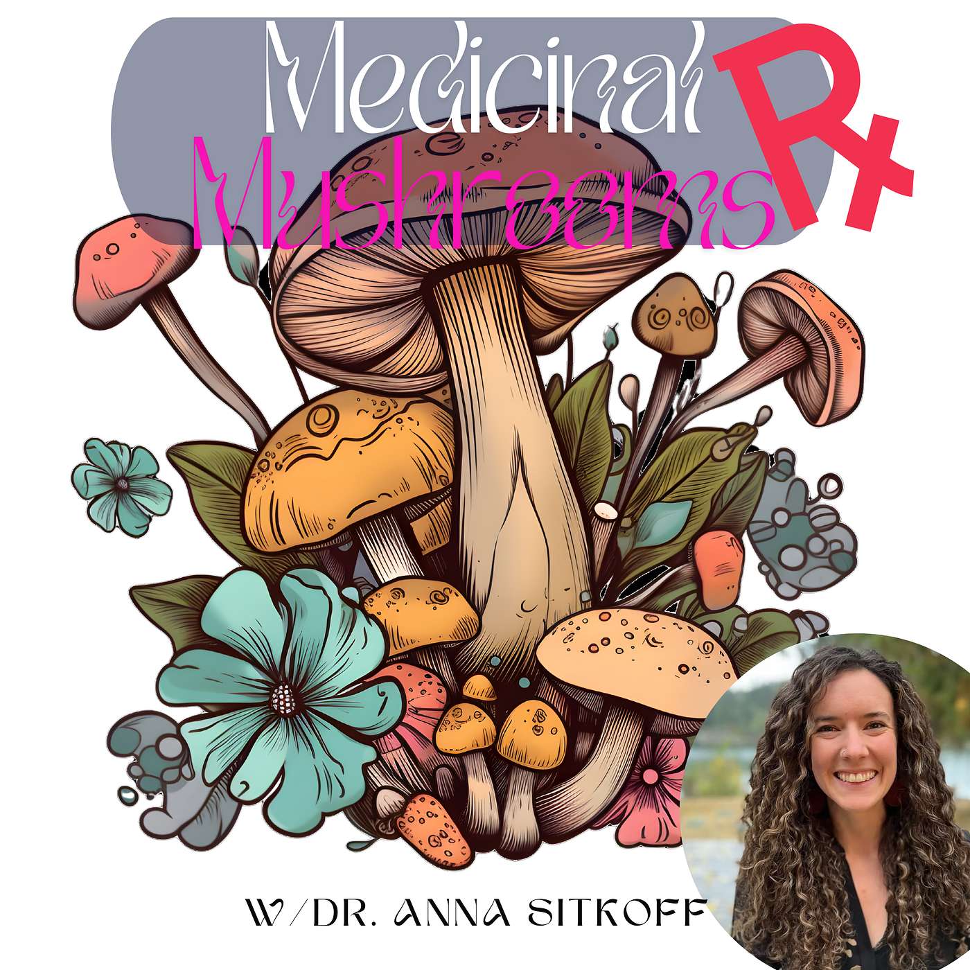 Exploring the Healing Power of Medicinal Mushrooms with Dr. Anna Sitkoff episode artwork