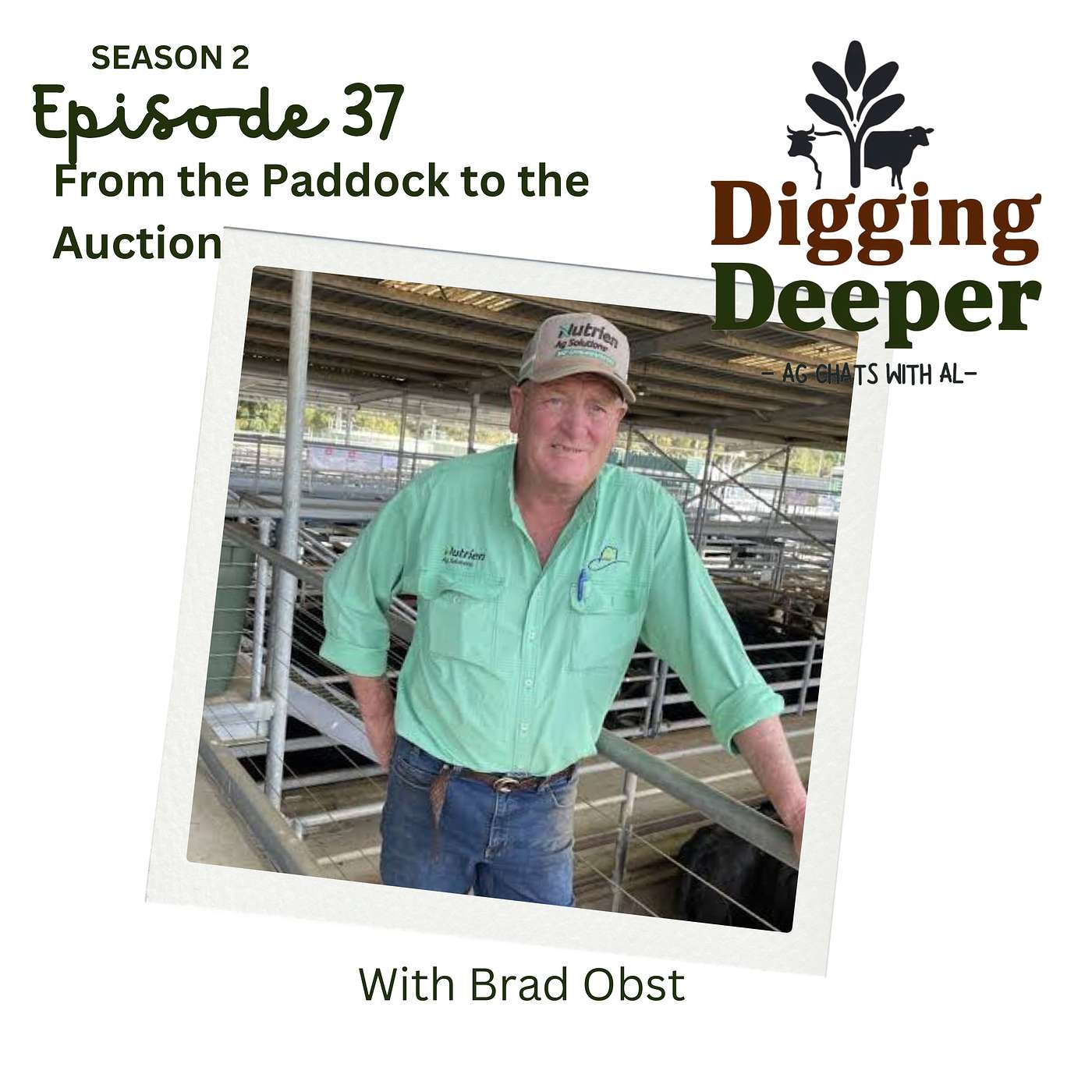 DIGGING DEEPER – From the Paddock to the Auction: With Braad Obst