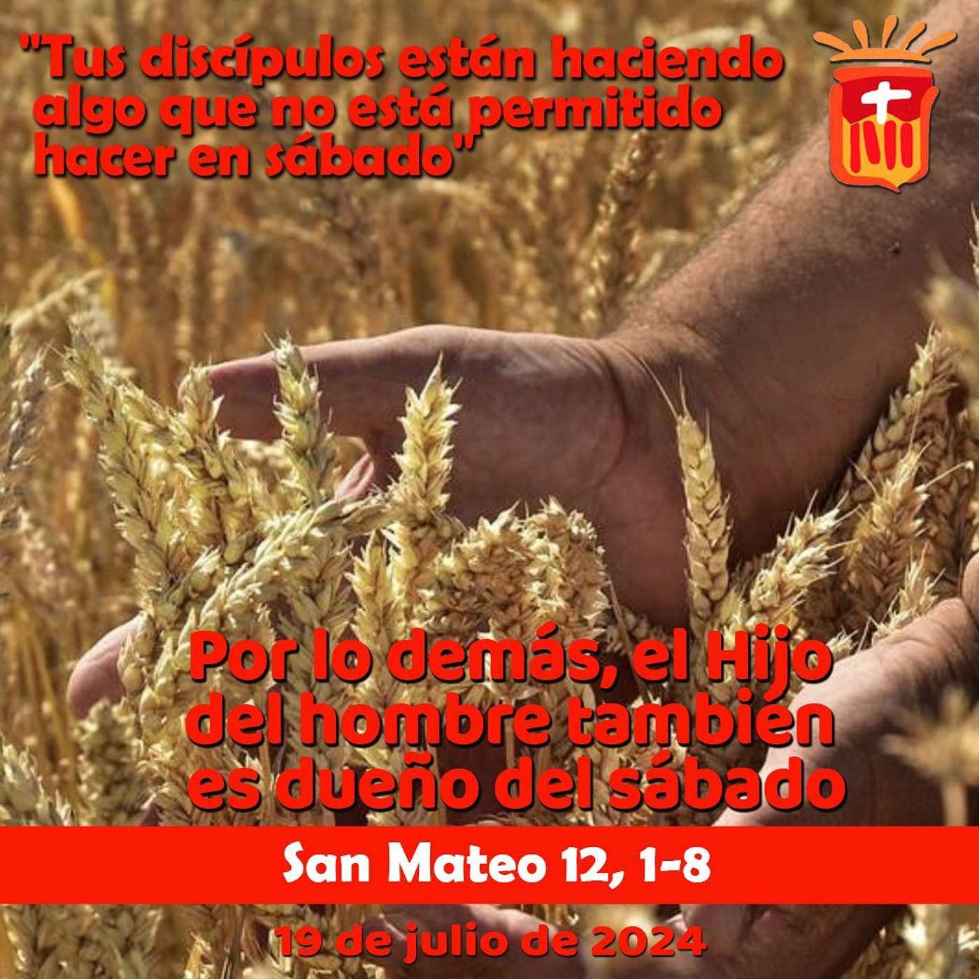 2024-07-19 San Mateo 12, 1-8: Viernes XV Ordinario.