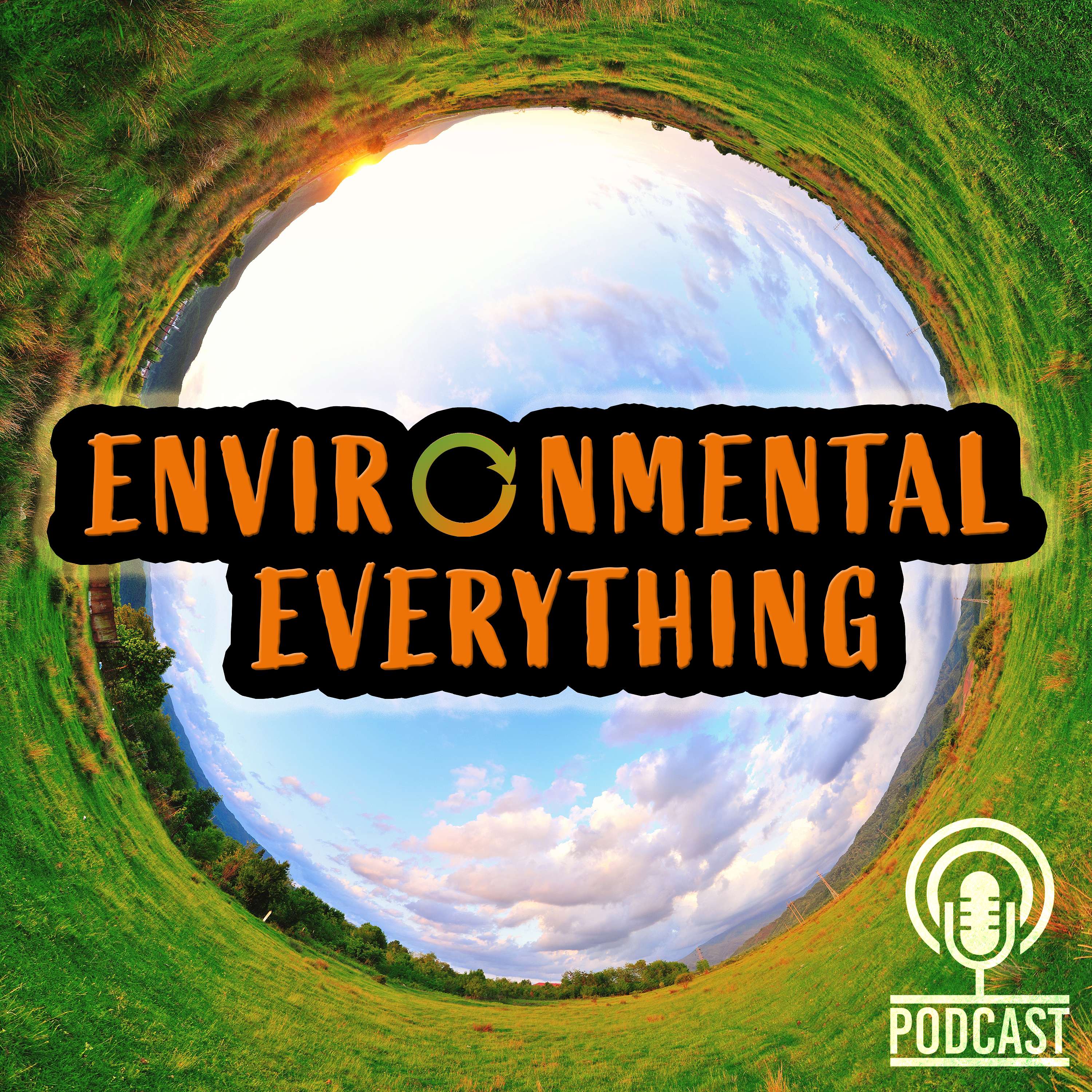 Environmental Everything