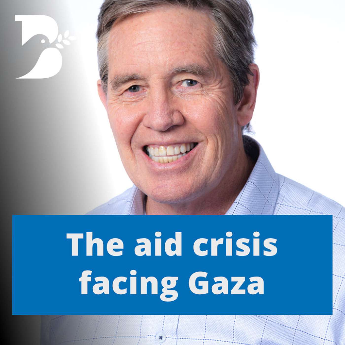 The aid crisis in Gaza