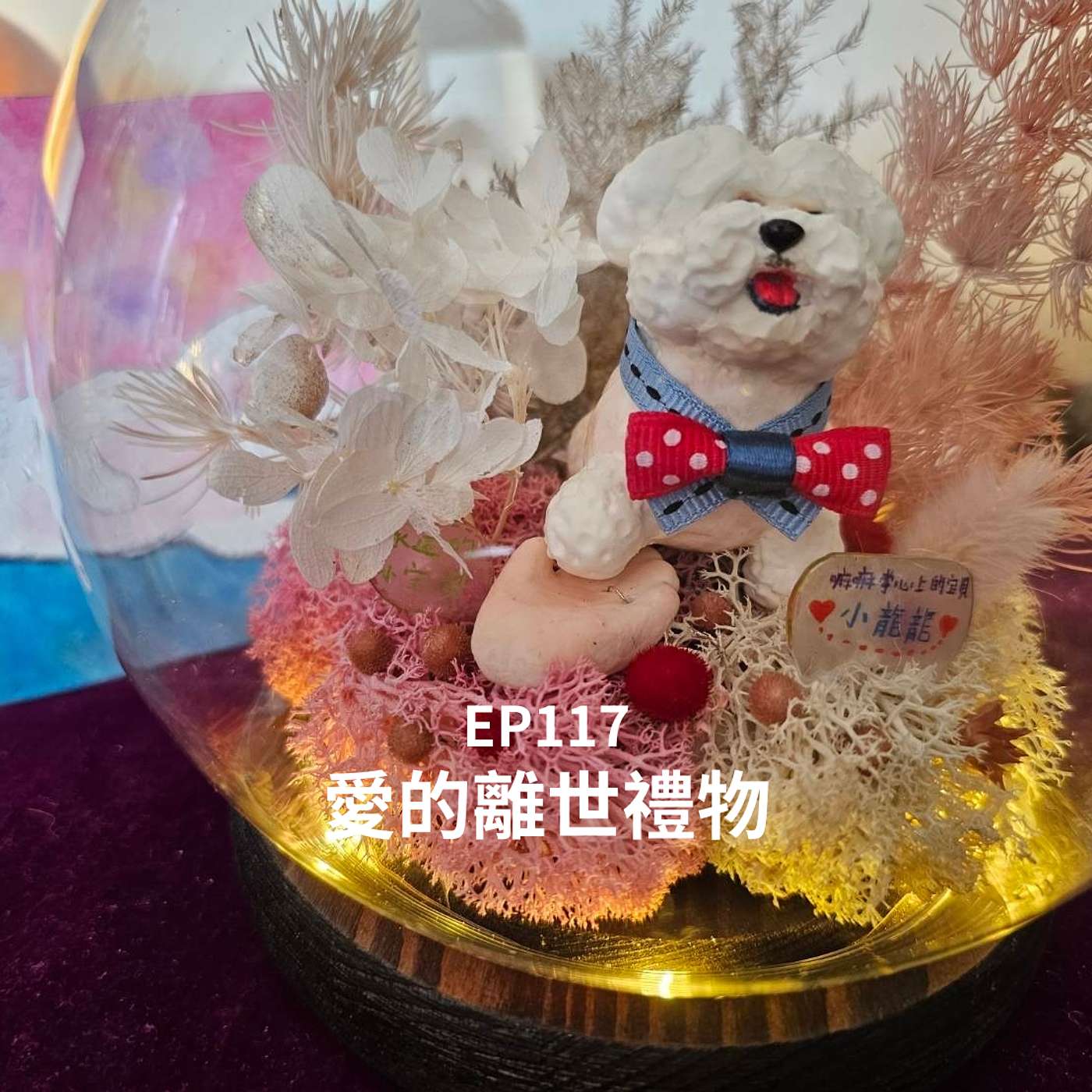 EP117 離世禮物！馬爾濟斯龍龍：一定要有媽媽的手 原因令人淚崩(柚子貍&安妮動物園/從0到1媒體人X斜槓） episode artwork