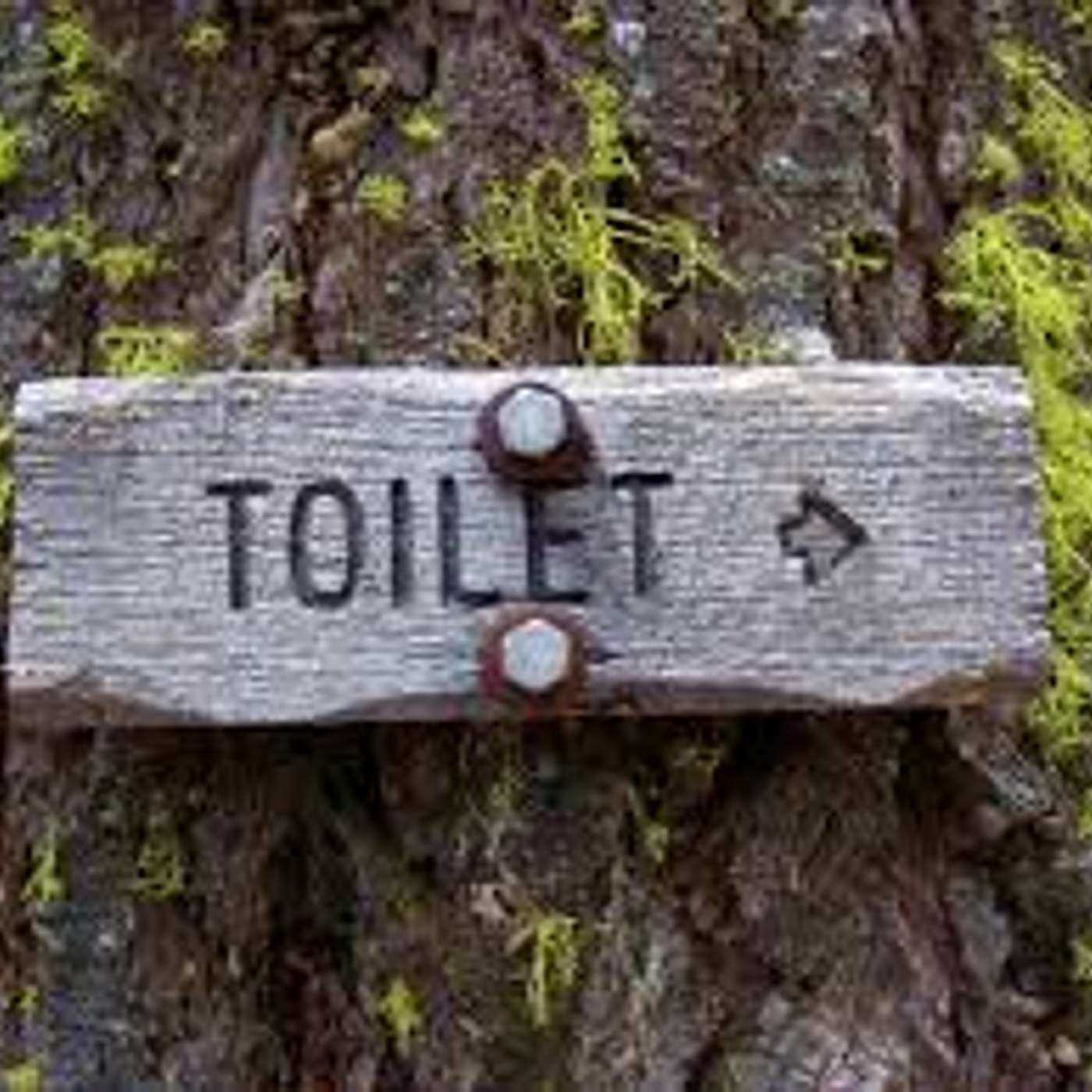 Perchè è importante...guardare le cacche degli animali