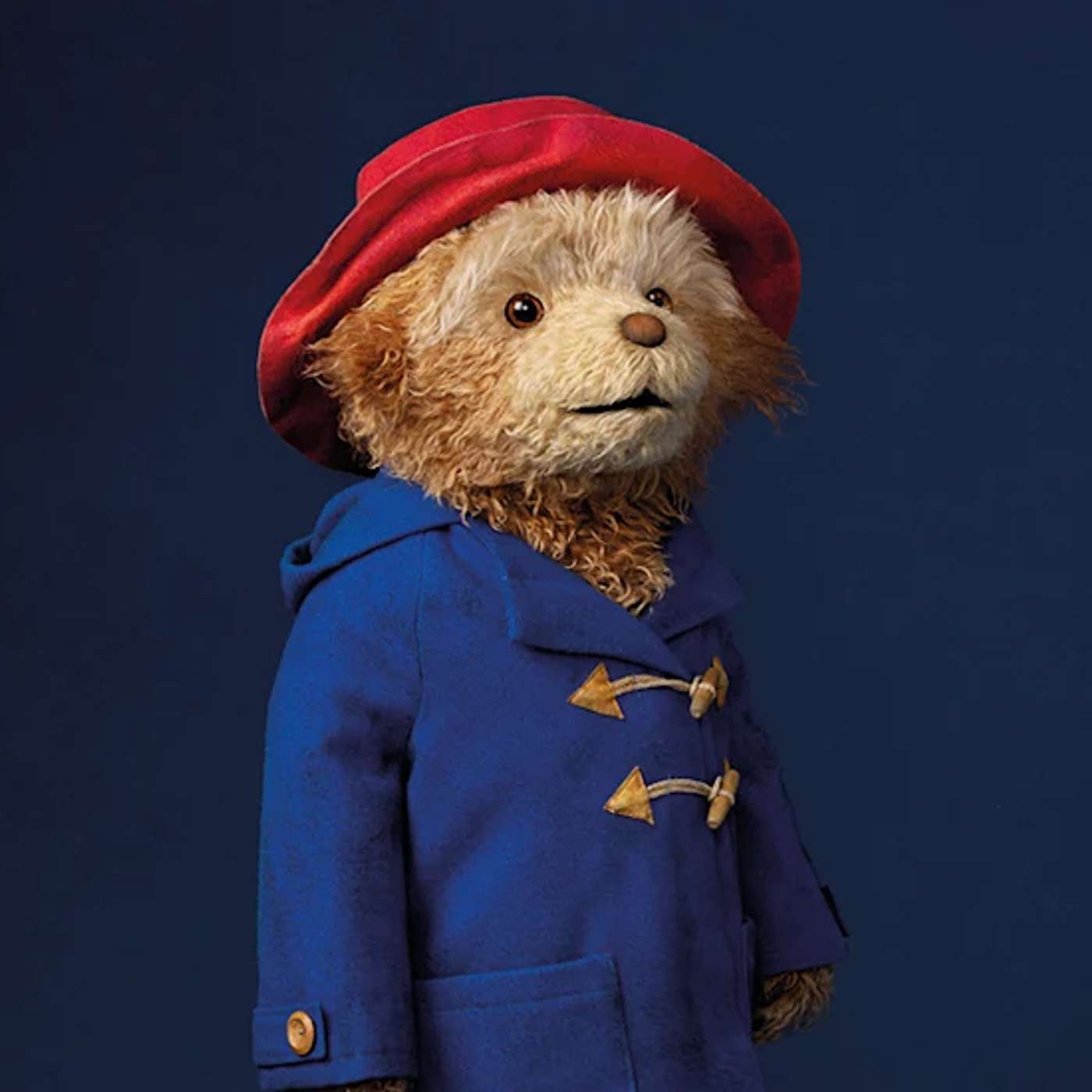 Paddington for Paddington