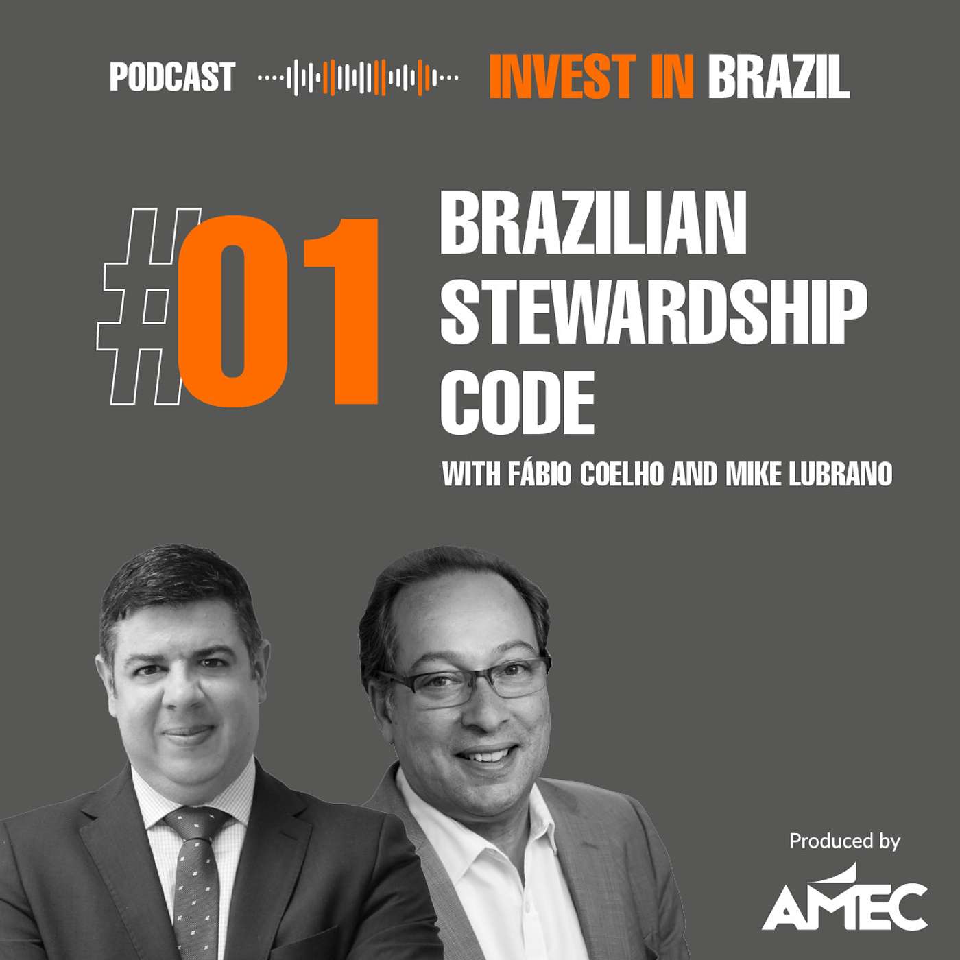 Brazilian Stewardship Code