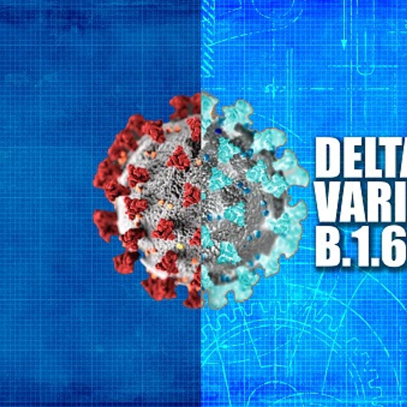 Top 5 Things You Need to Know about the Delta Variant.