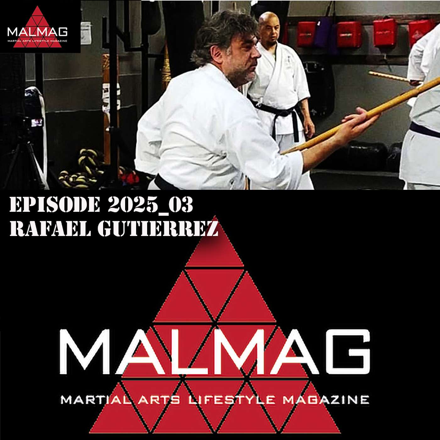 The Martial Arts Lifestyle Podcast