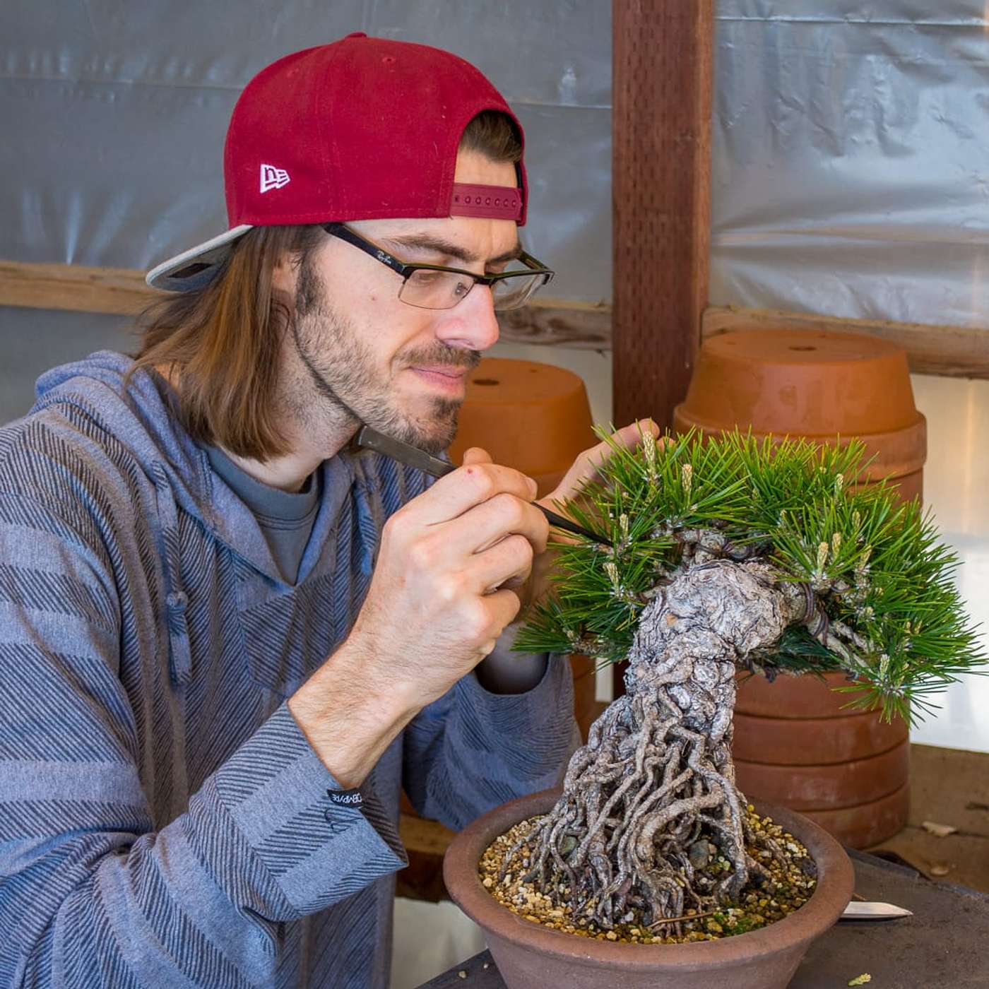 Bonsai Wire