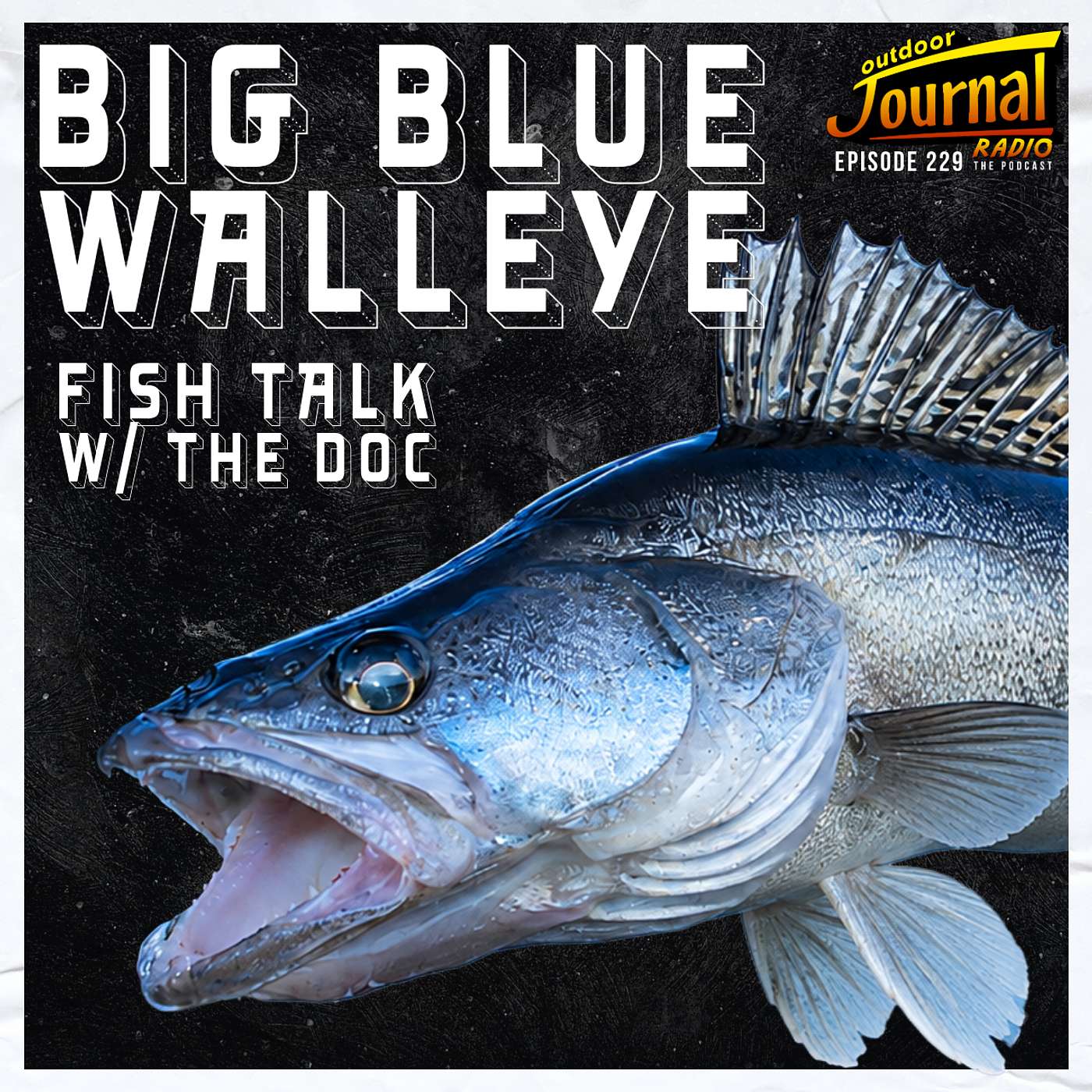Episode 229: The Truth About Blue Walleye (Fish Talk With The Doc) episode artwork