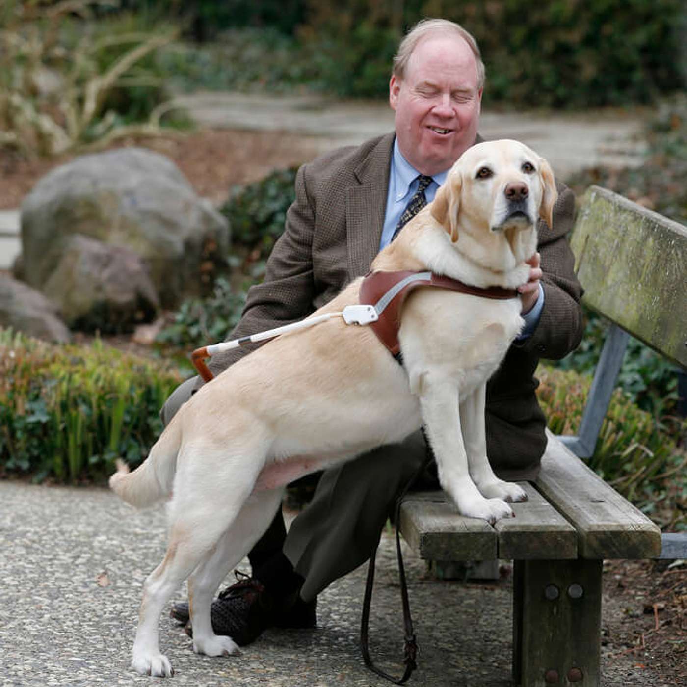 338. Living Like a Guide Dog: The Art of Being Brave with Michael Hingson