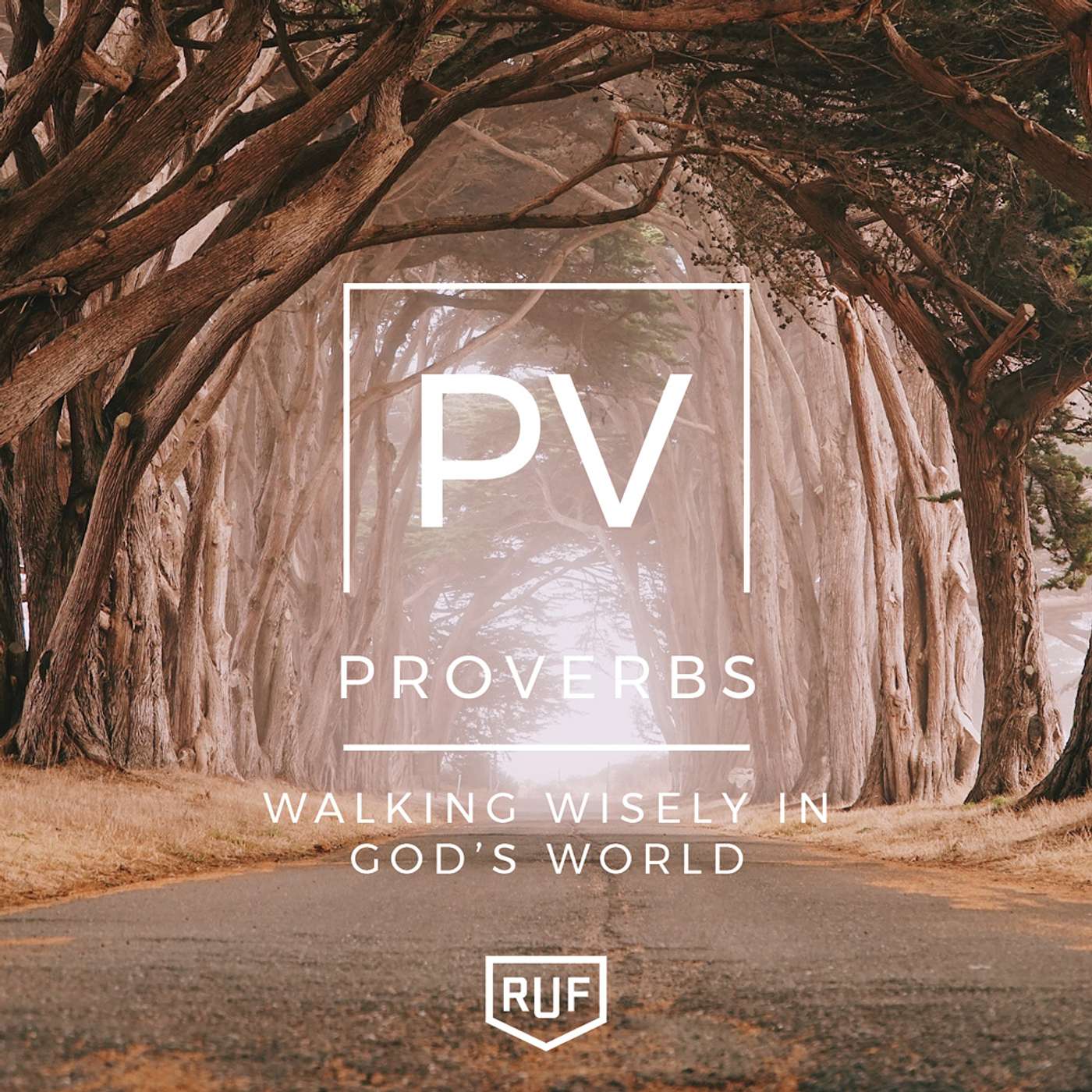 Proverbs | Vain Fame