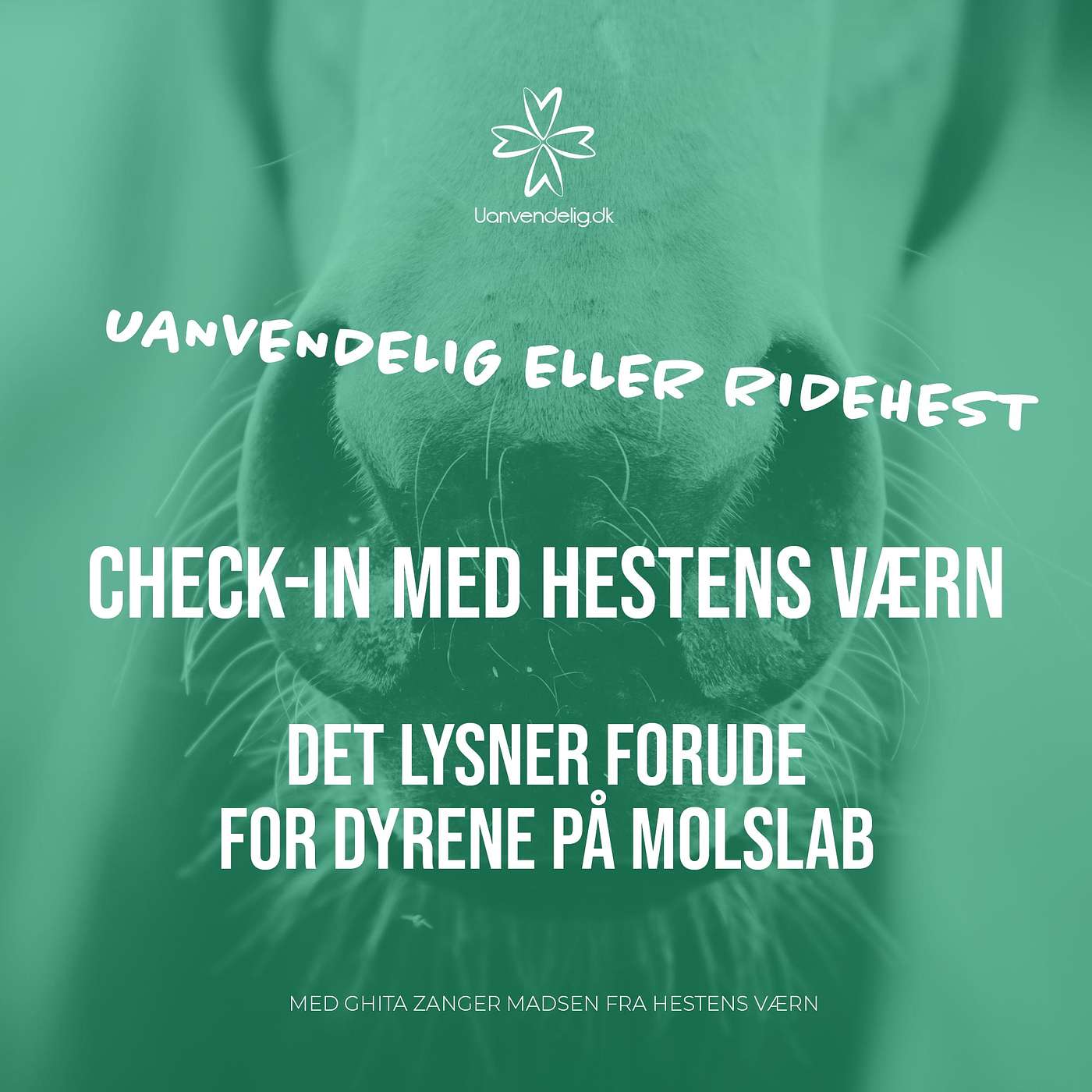 Der er endelig håb for dyrene på MolsLab - Check-In med Hestens Værn episode artwork