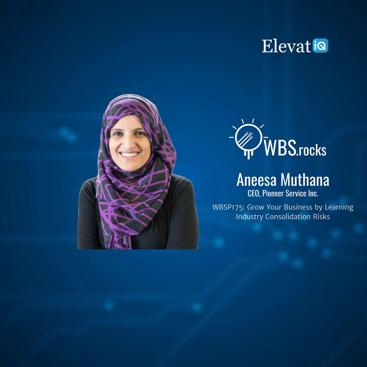 WBSP175: Grow Your Business by Learning Industry Consolidation Risks w/ Aneesa Muthana