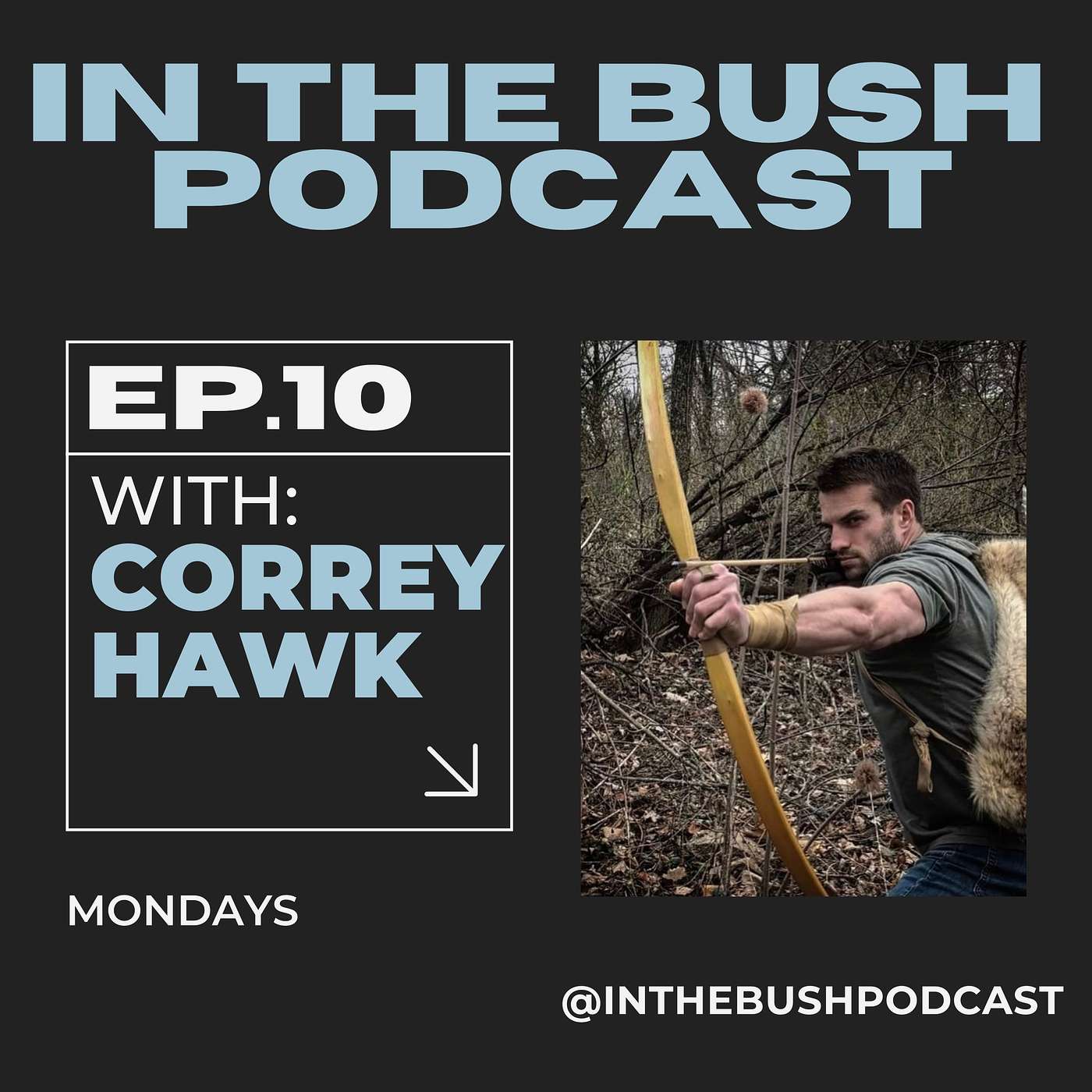 IN THE BUSH Podcast