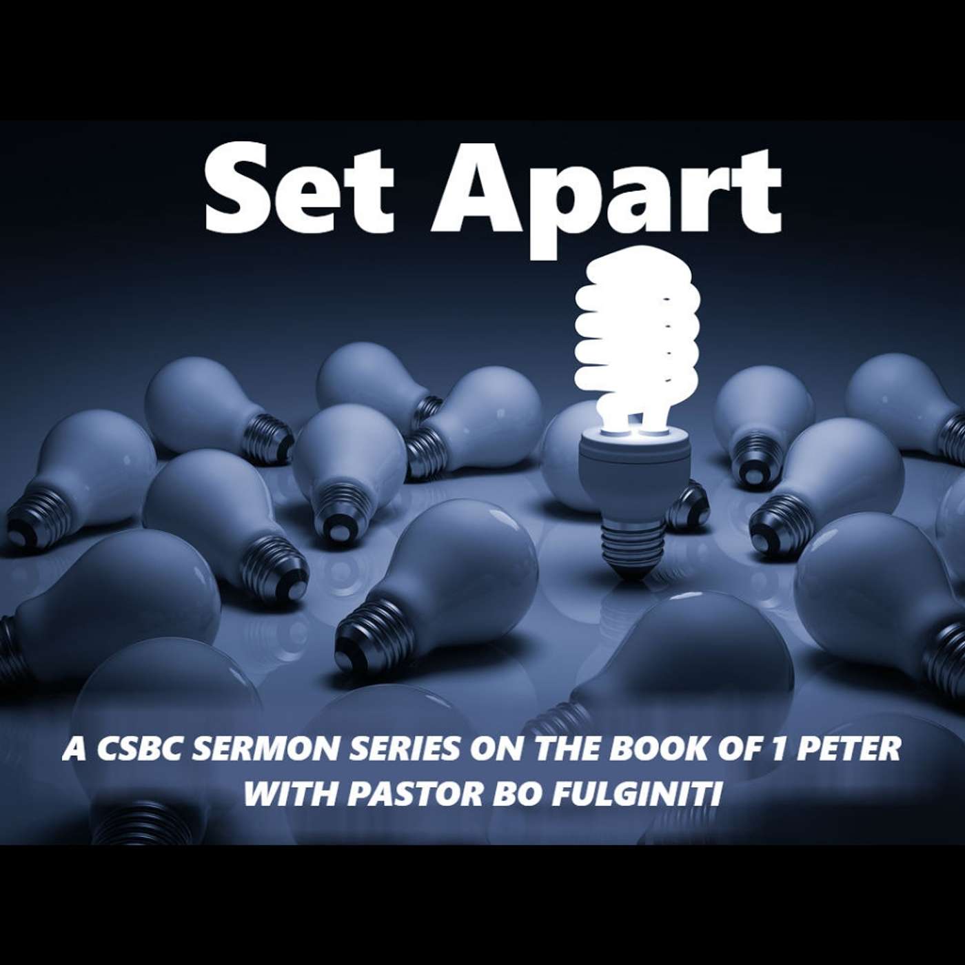 Cedar Street Baptist Church (Metter, GA)