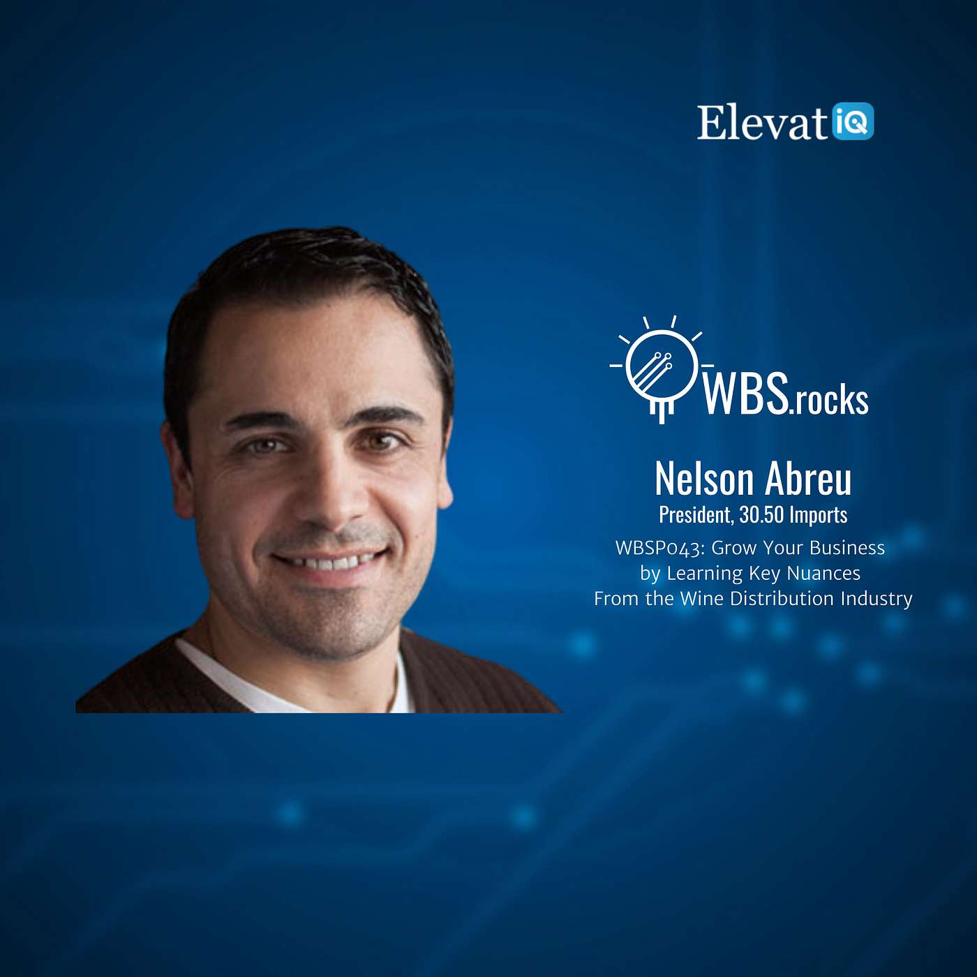WBSP043: Grow Your Business by Learning Key Nuances From the Wine Distribution Industry w/ Nelson Abreu