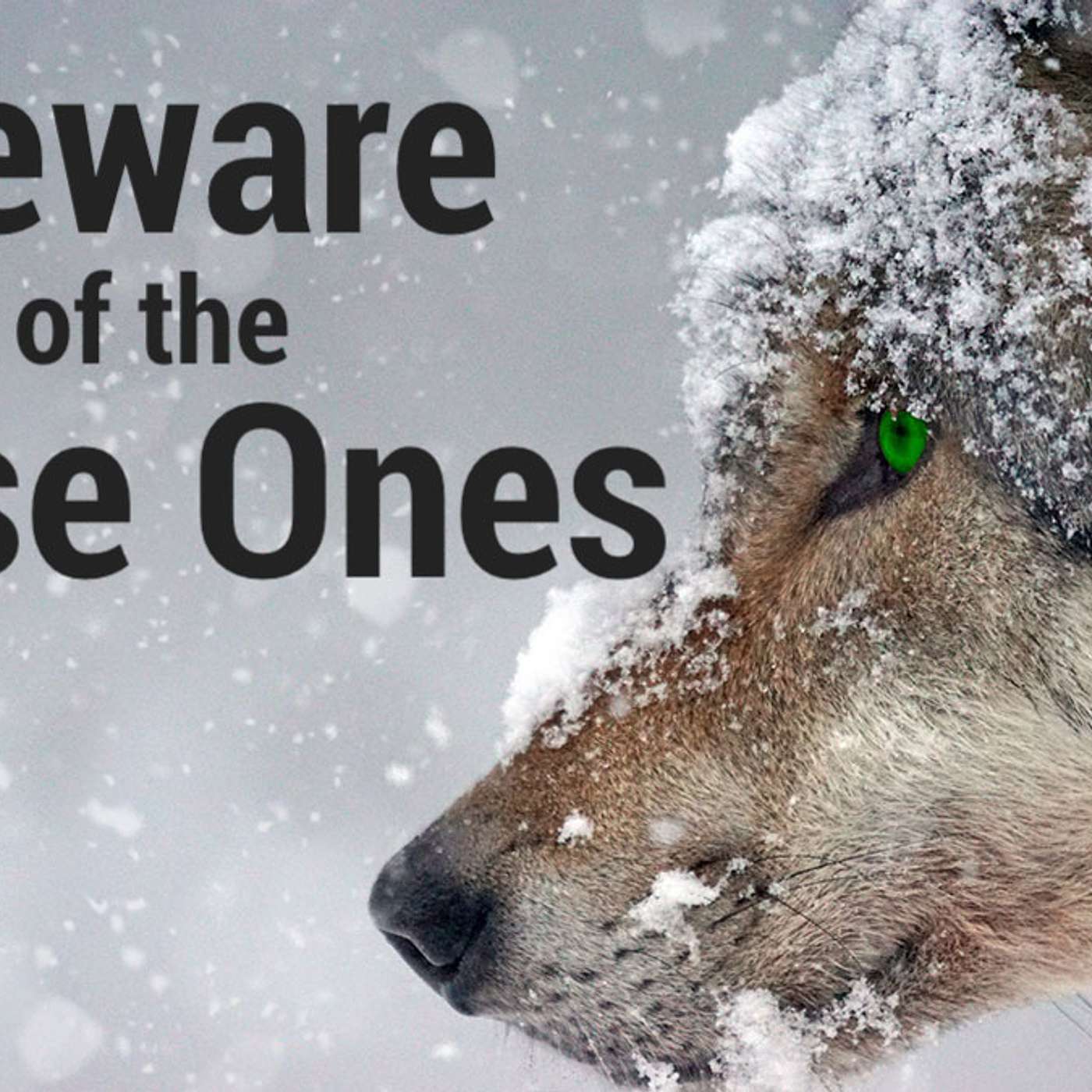 Beware of the False Ones