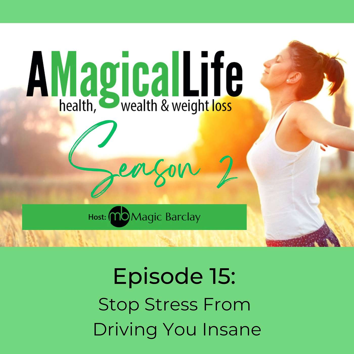Stop Stress From Driving You Insane episode artwork
