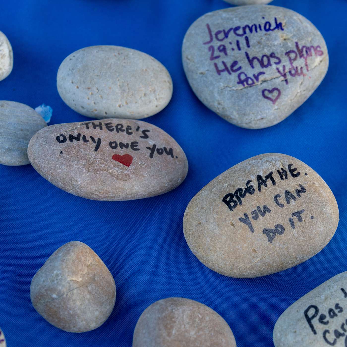 S15E8 - Stats for Ya S15E8 - Stats for Ya