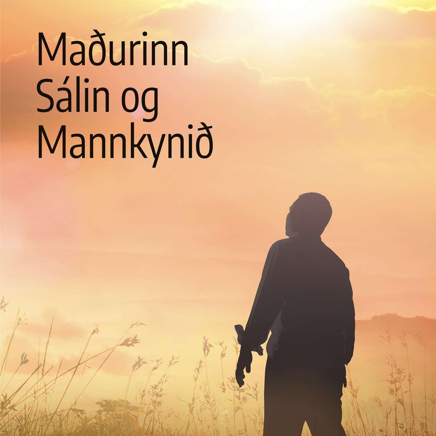 Vegurinn til góðs - (Maðurinn, sálin og mannkynið) episode artwork