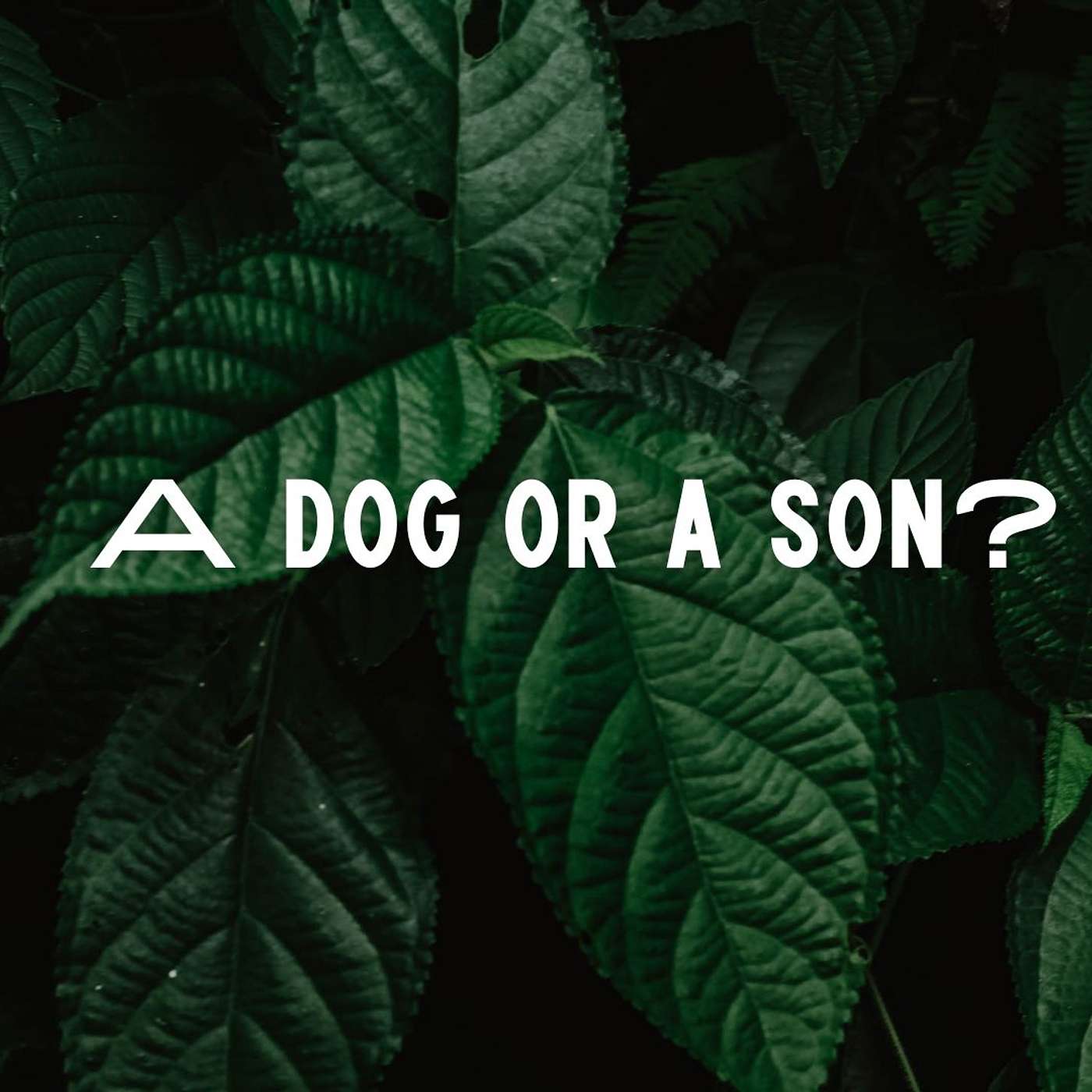 A Dog Or A Son? episode artwork