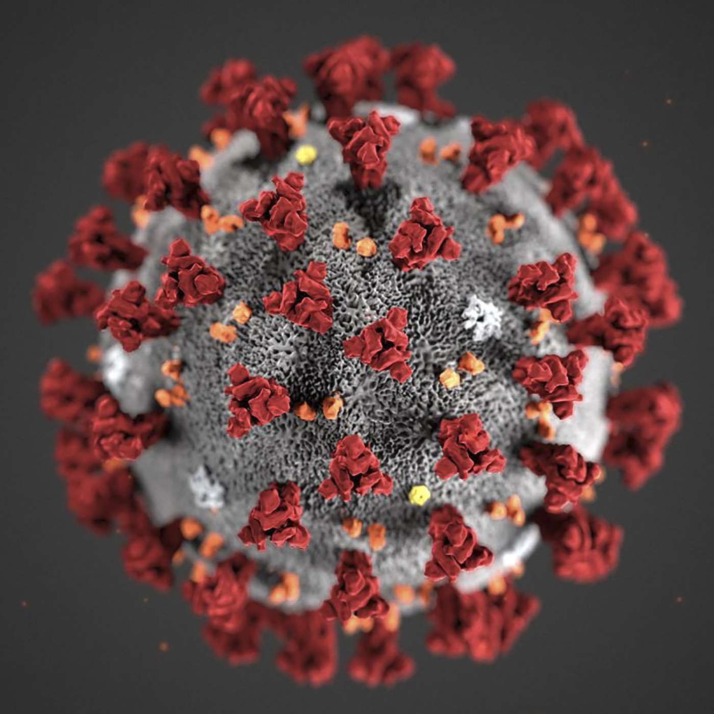 Ep. 21 - Coronavirus: To Snitch, Or Not To Snitch episode artwork