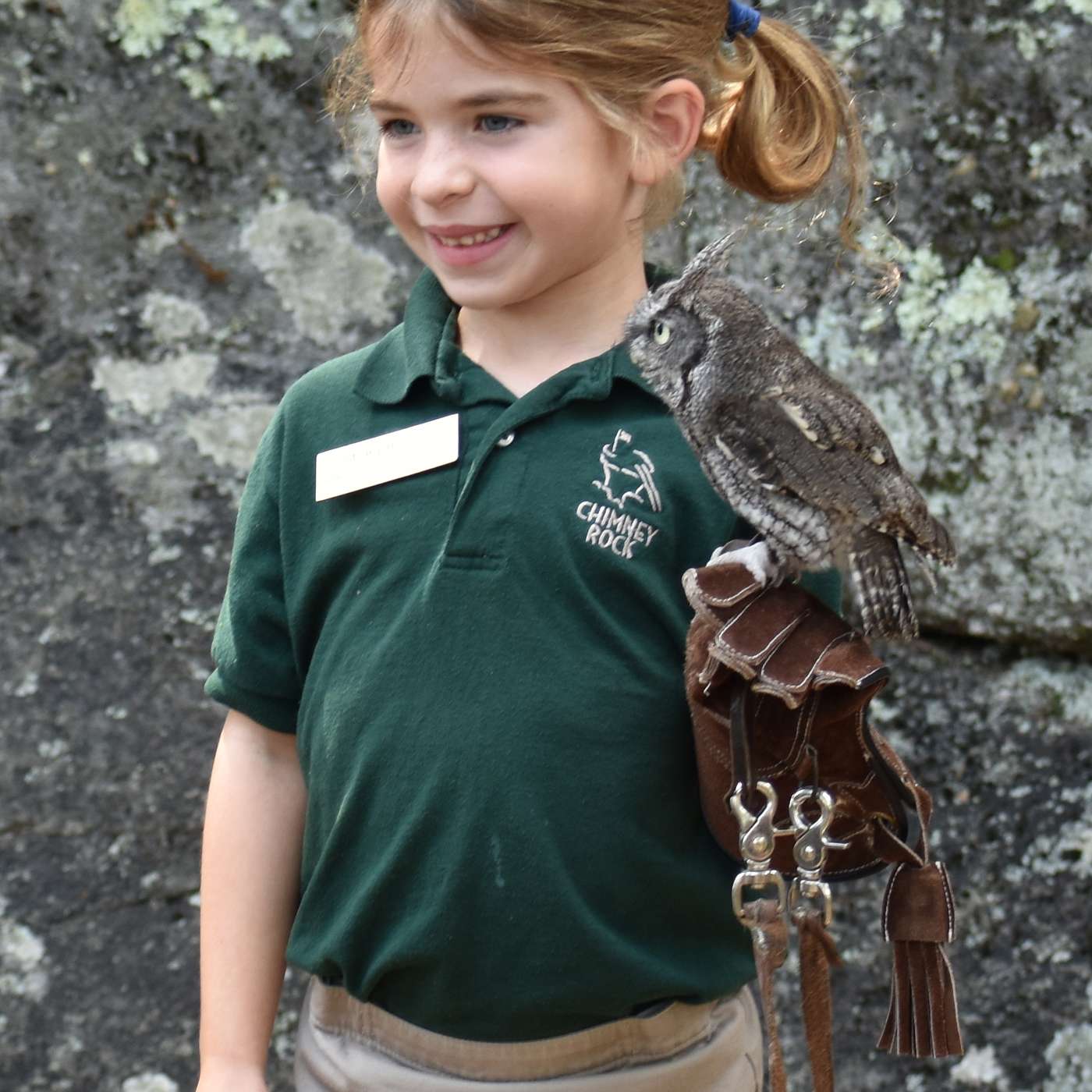 Chimney Rock at Chimney Rock State Park Rocks in the Fall